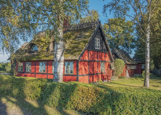 A charming, rustic cottage with a thatched roof, red walls, and black wooden beams, surrounded by lush greenery. Birch trees and hedges line the property, and sunlight casts soft shadows across the scene. A few red chairs and a small table sit near the structure, enhancing its quaint and inviting appearance.