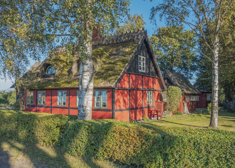 A charming, rustic cottage with a thatched roof, red walls, and black wooden beams, surrounded by lush greenery. Birch trees and hedges line the property, and sunlight casts soft shadows across the scene. A few red chairs and a small table sit near the structure, enhancing its quaint and inviting appearance.