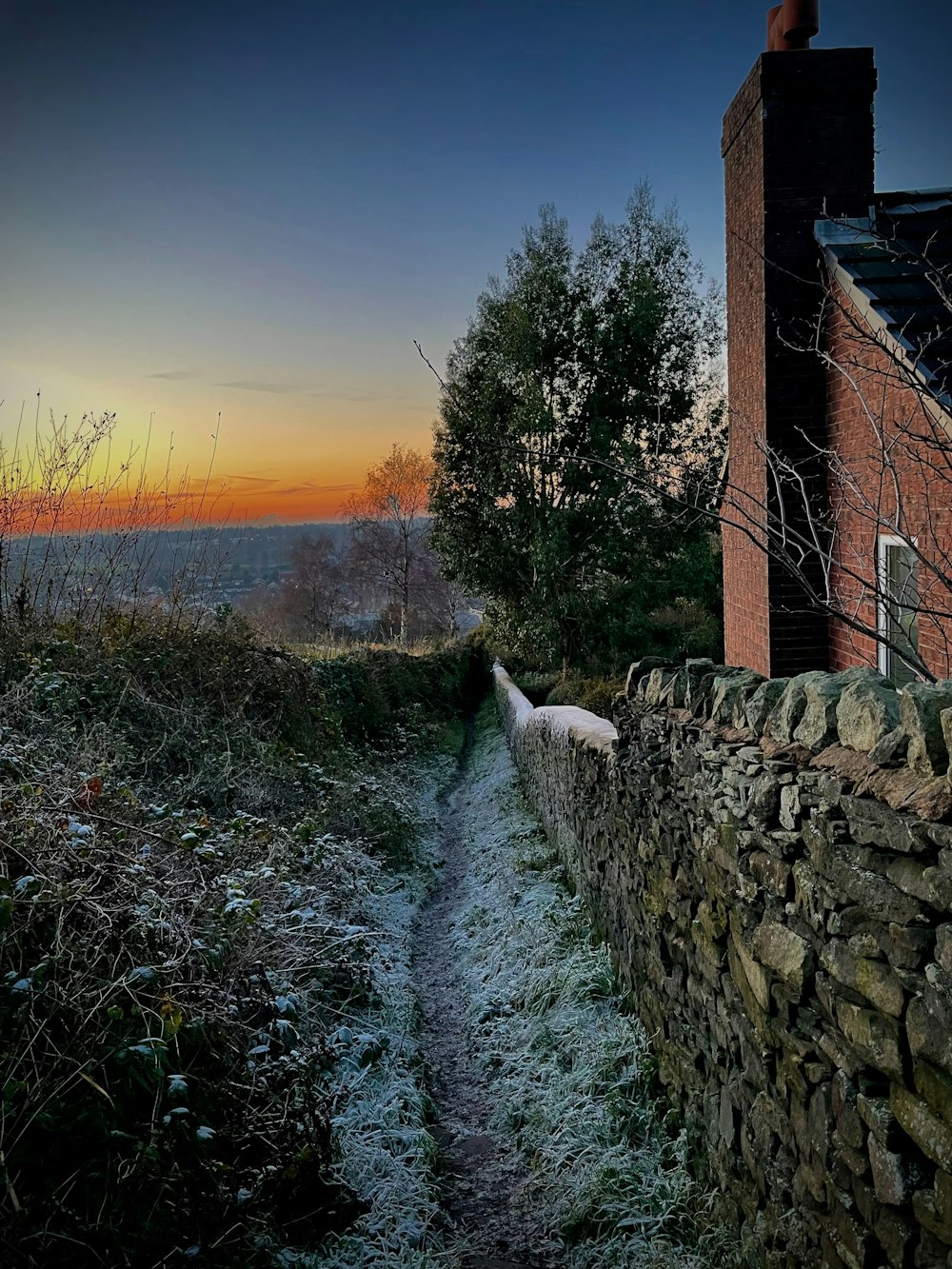 a dog is walking down a path near a stone wall