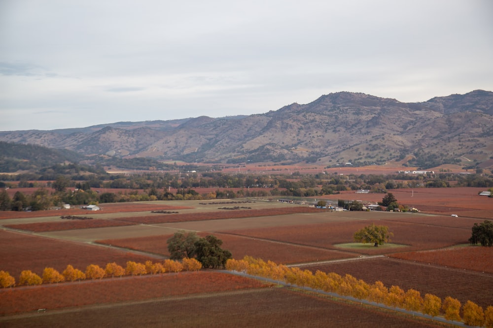 a view of a field with mountains in the background