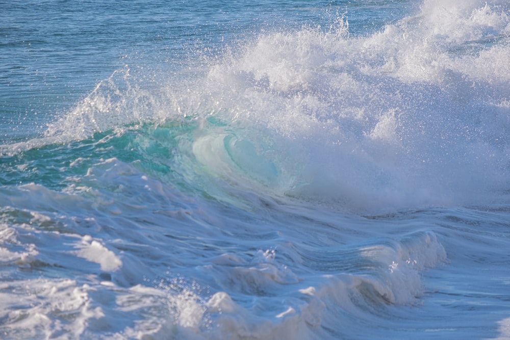 una persona che cavalca un'onda in cima a una tavola da surf