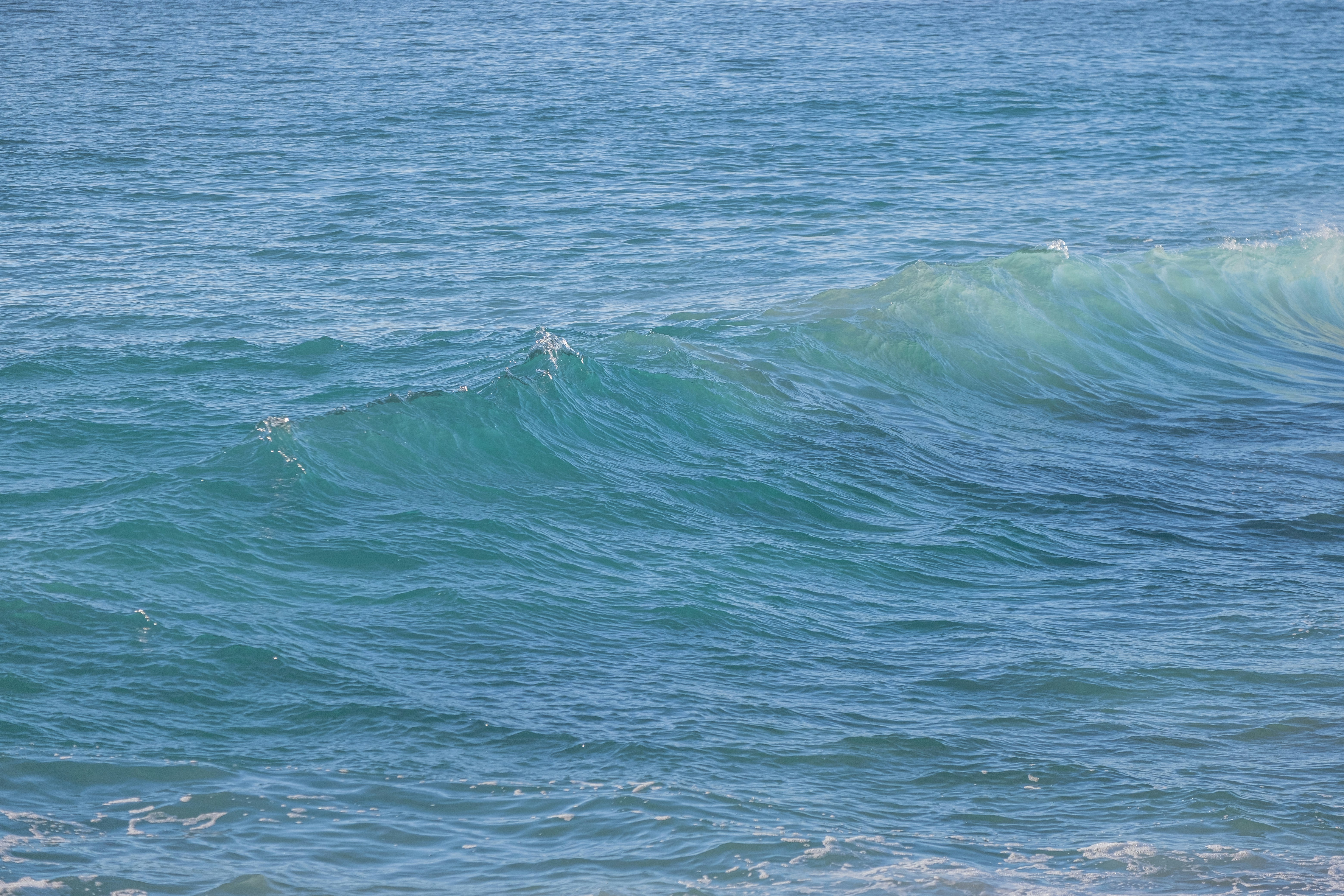 Photo by cestmoisheedy