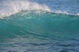 A large ocean wave is captured mid-crest, showing the clear aquamarine water with white foam at the top. The background includes the endless stretch of the sea blending with the horizon.