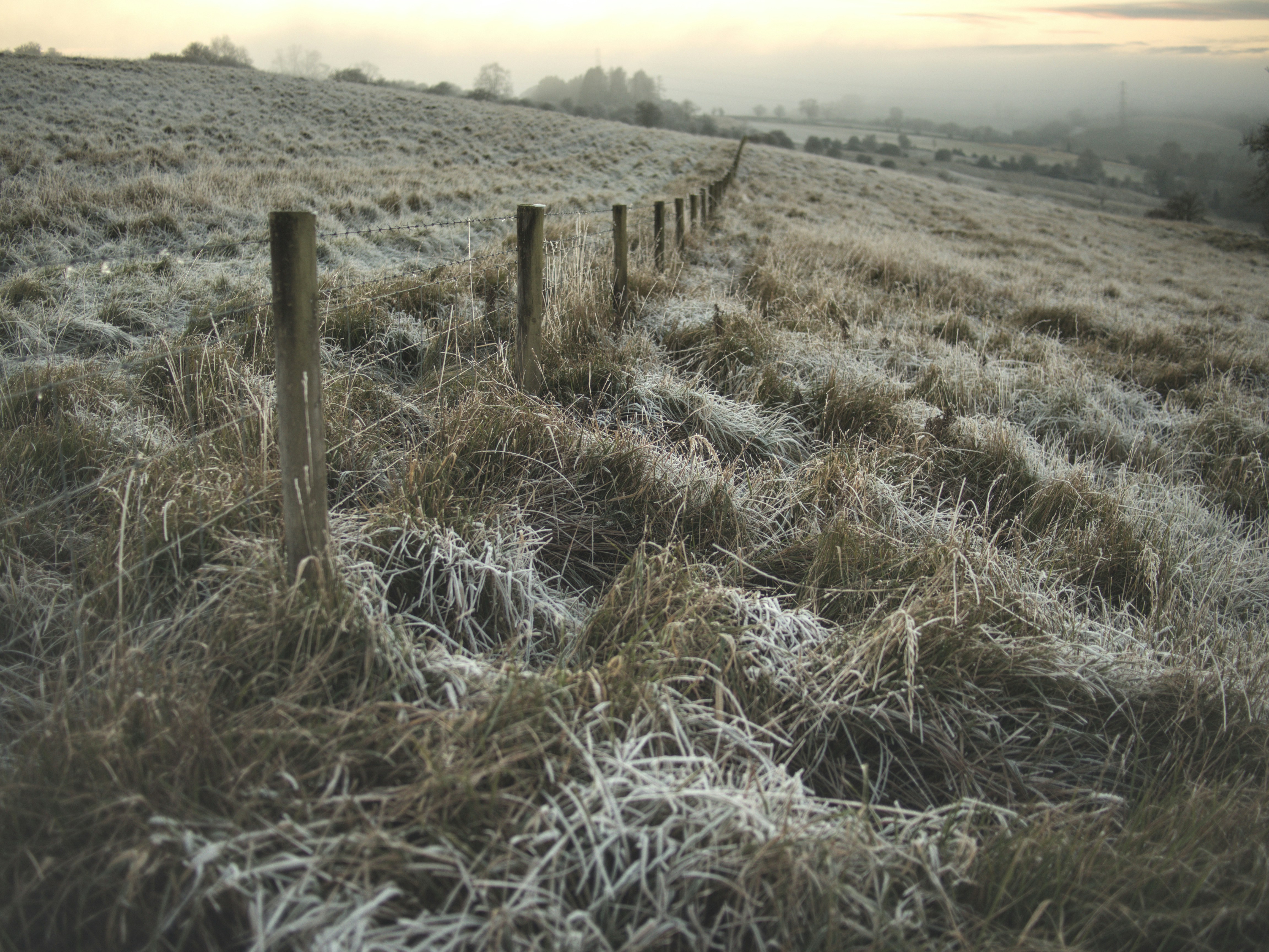 Champ recouvert de givre derrière une clôture, un matin d'hiver