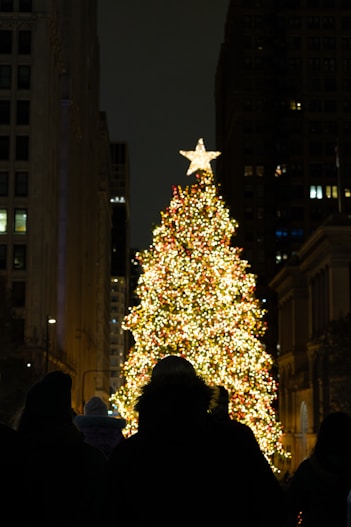 a large christmas tree in the middle of a city