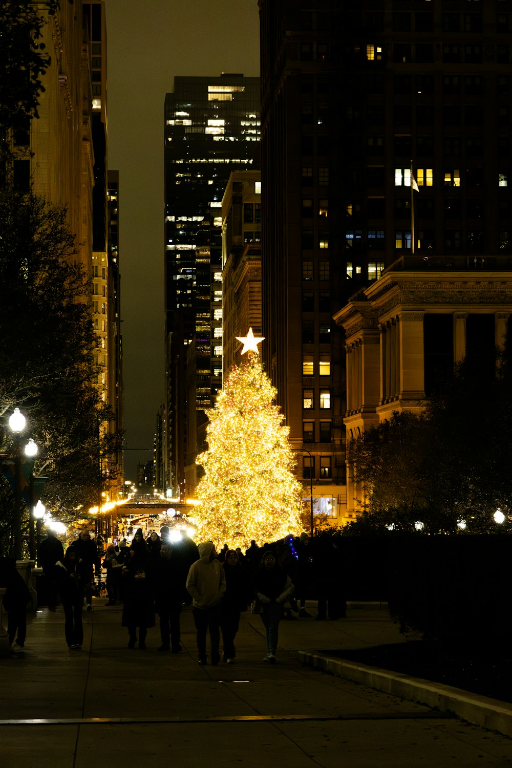 a lighted christmas tree in a city at night