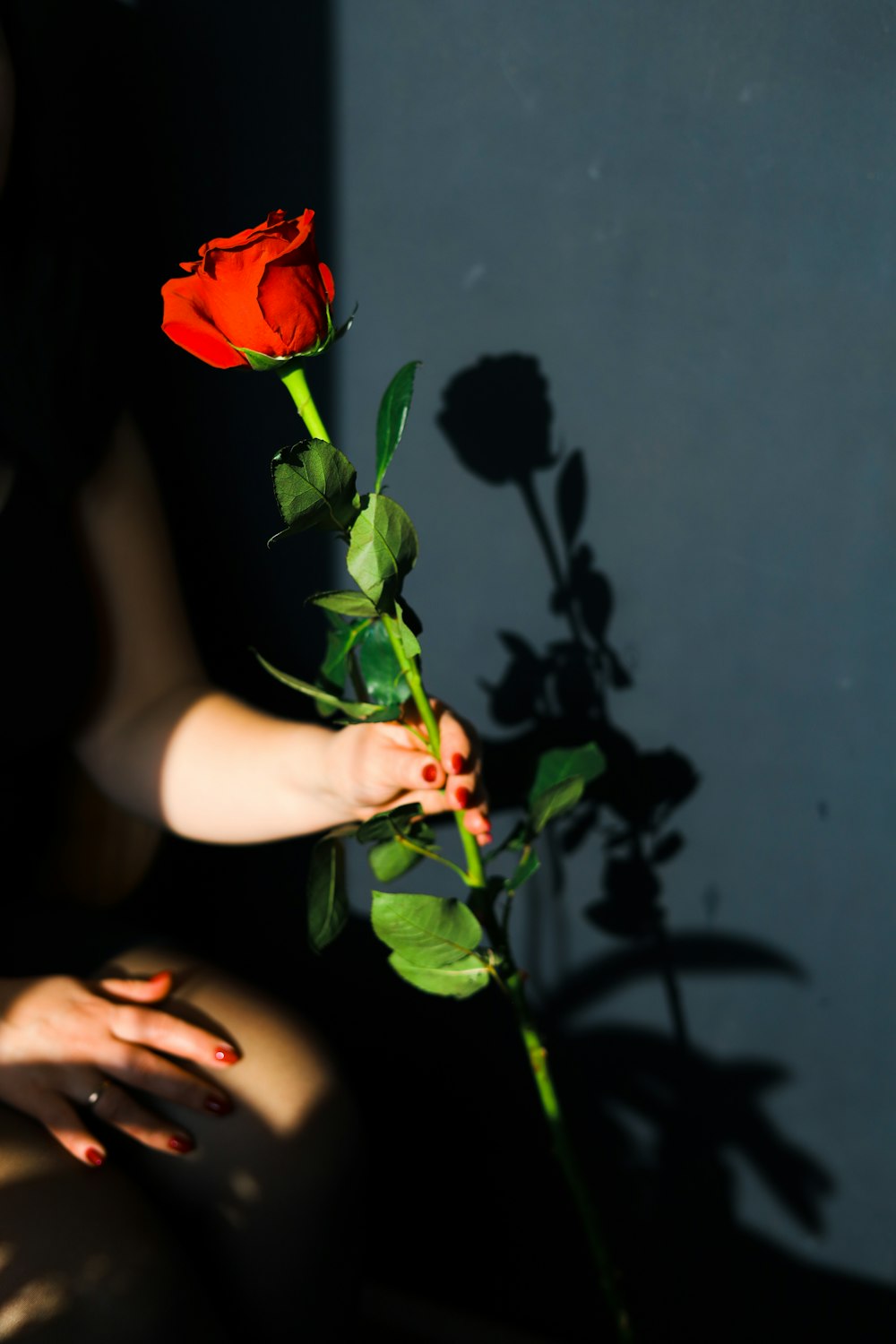 a woman holding a red rose in her hand