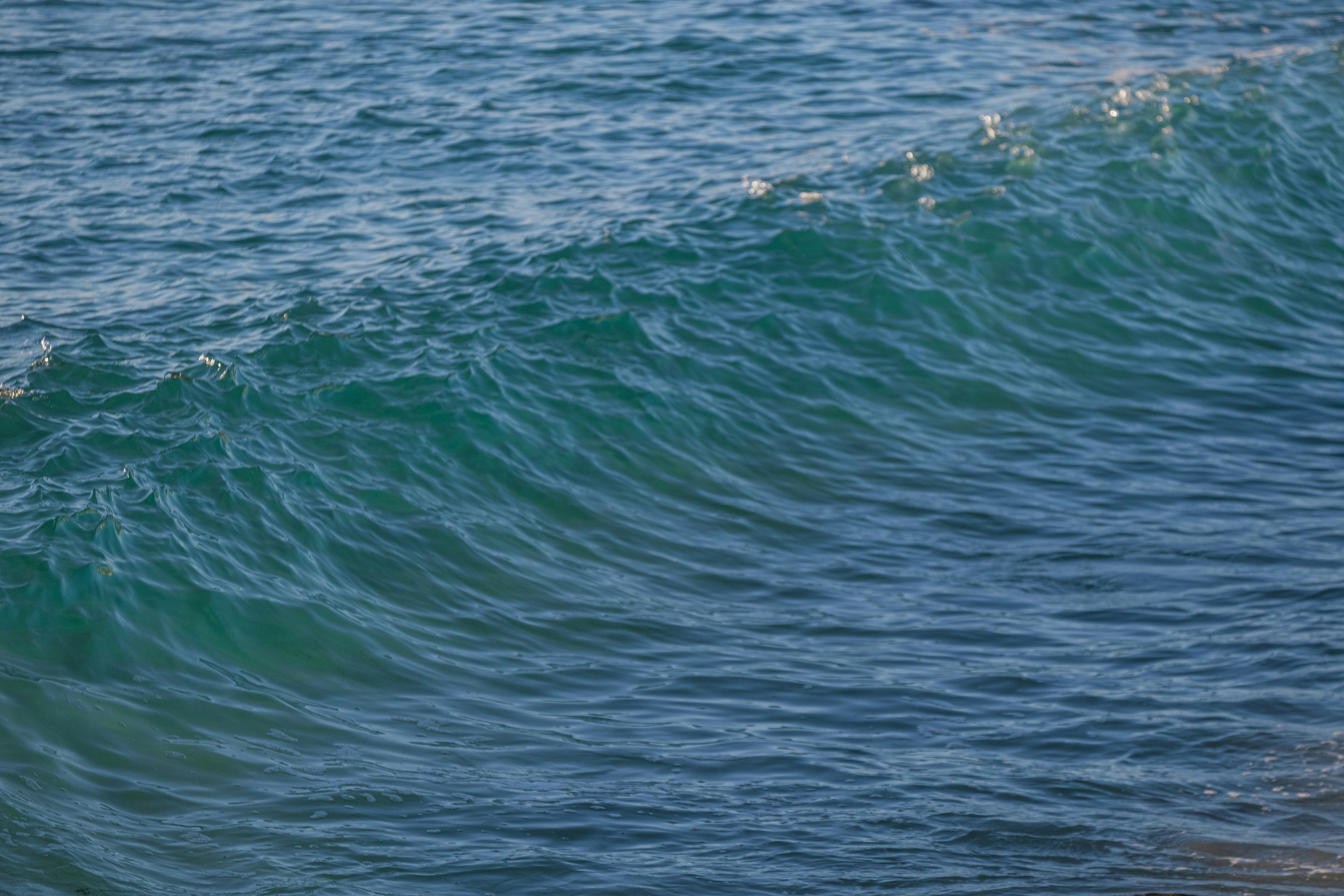 Photo by cestmoisheedy