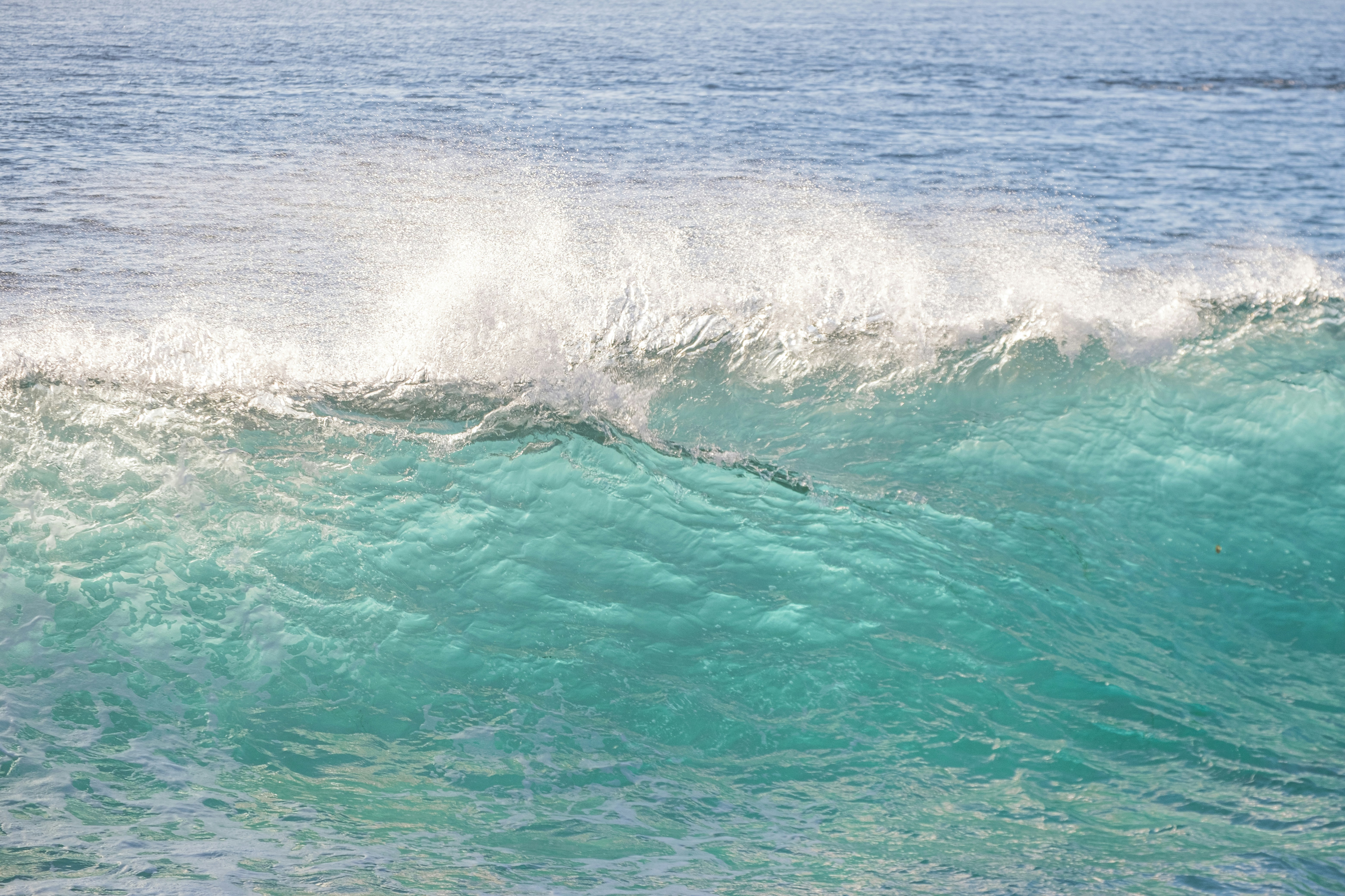 Photo by cestmoisheedy