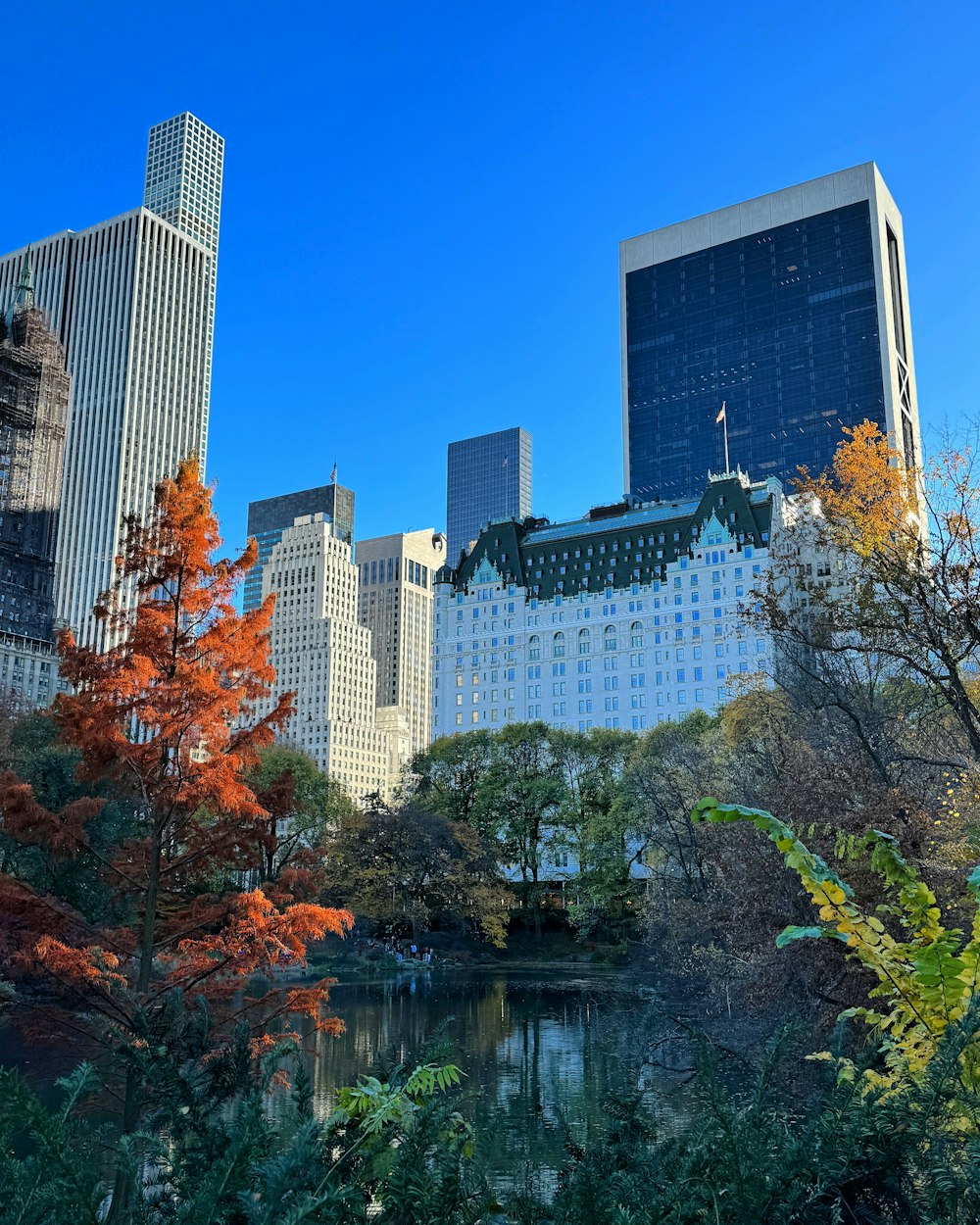 a pond surrounded by tall buildings in a city