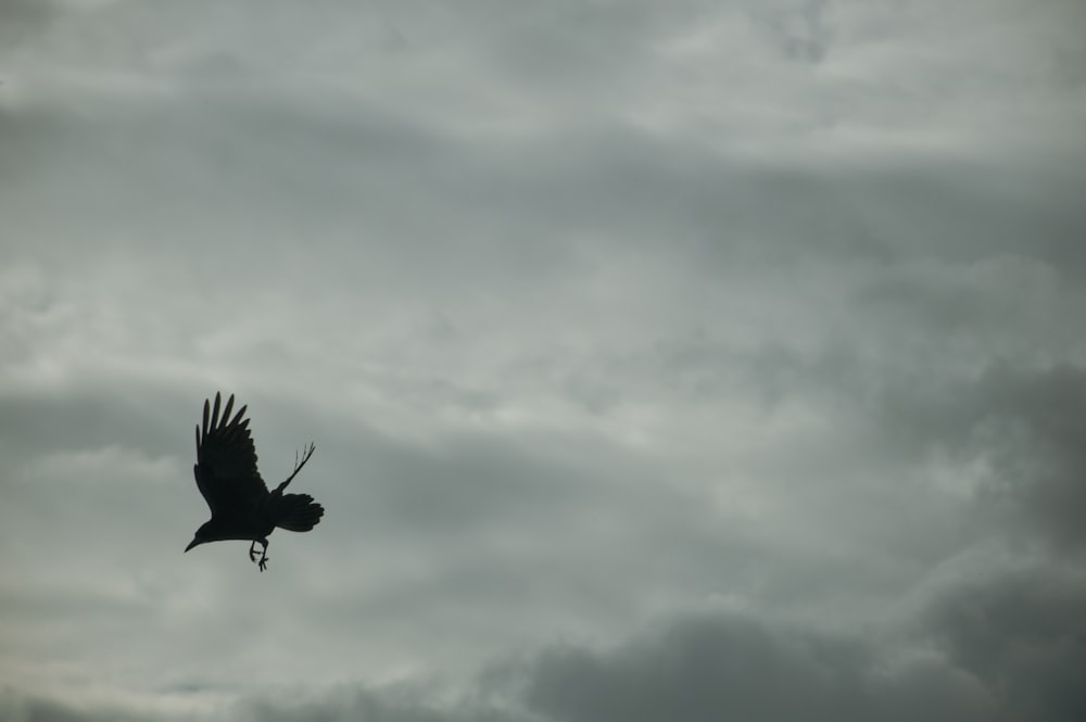 a large bird flying through a cloudy sky