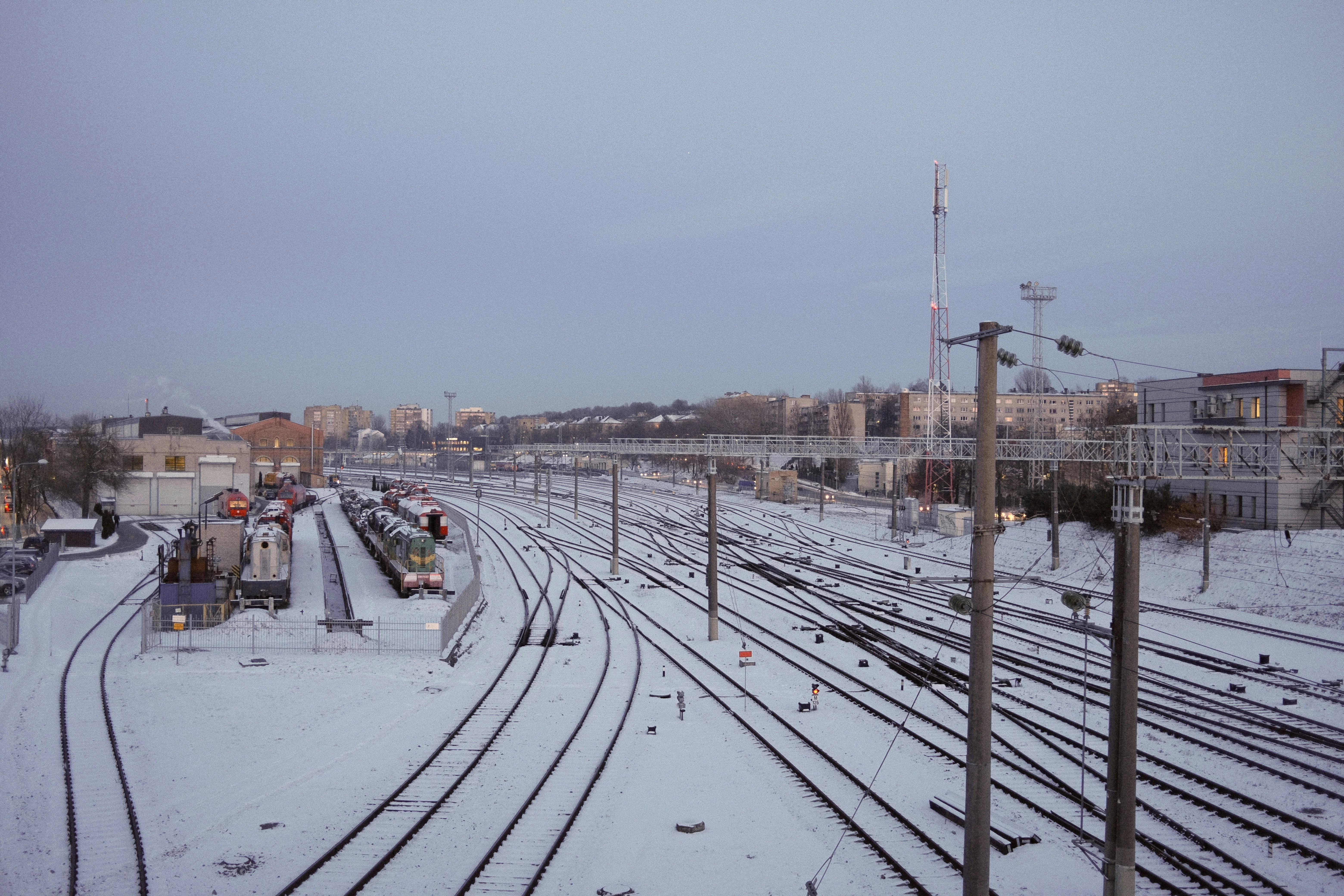 Photo by bring_shrubbery