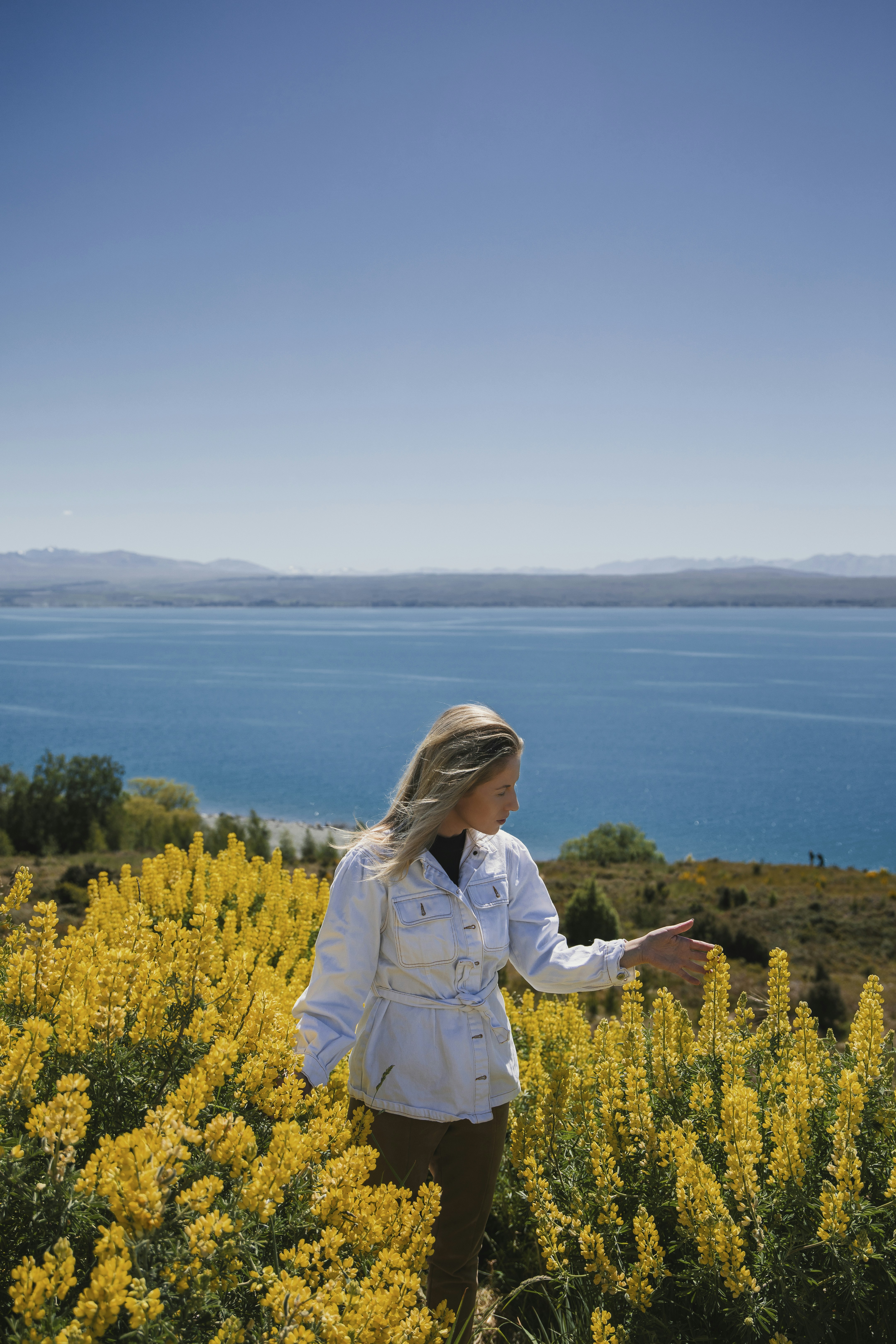 A woman standing in a field of yellow flowers photo – Free Background ...