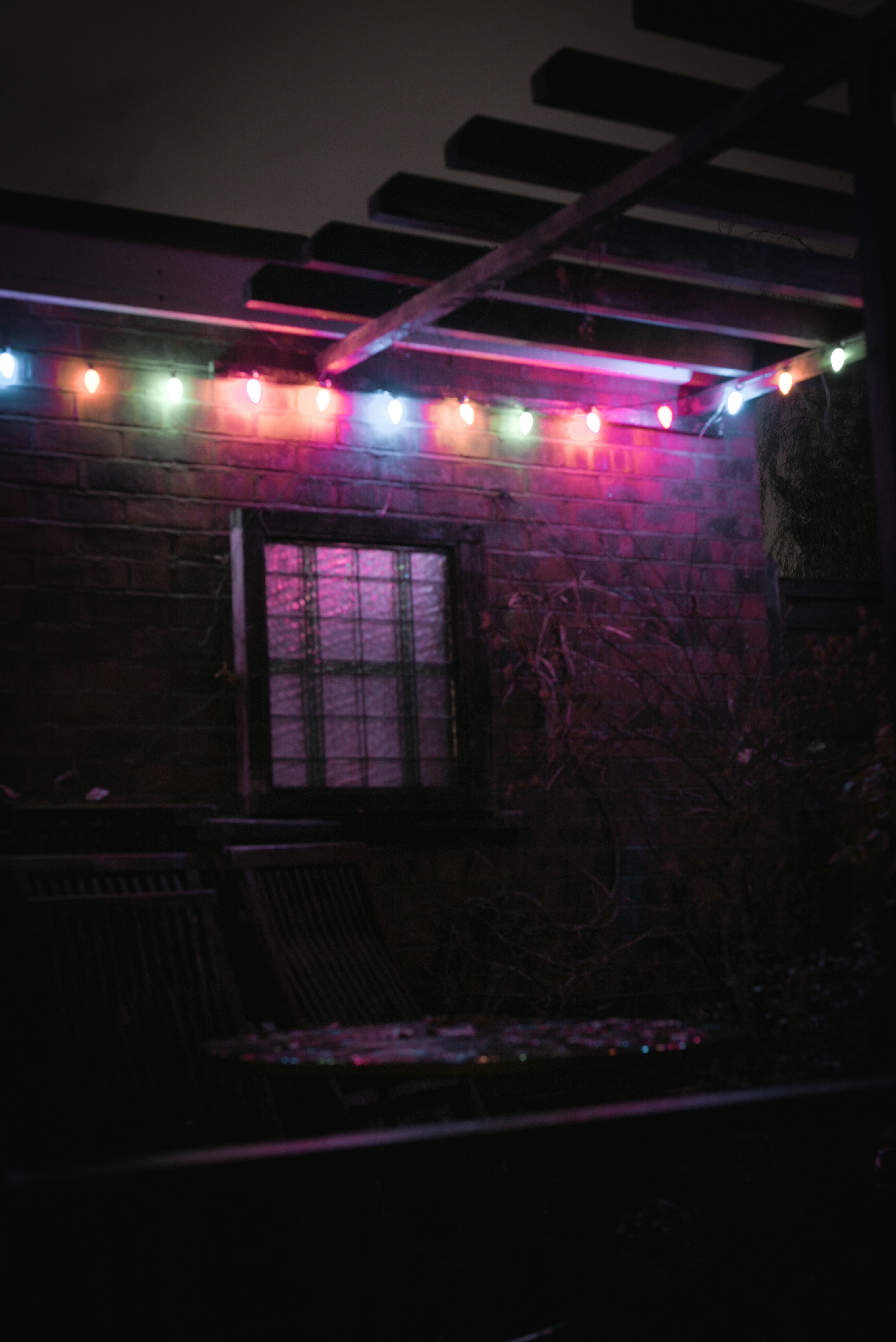 Photo by elliottmason