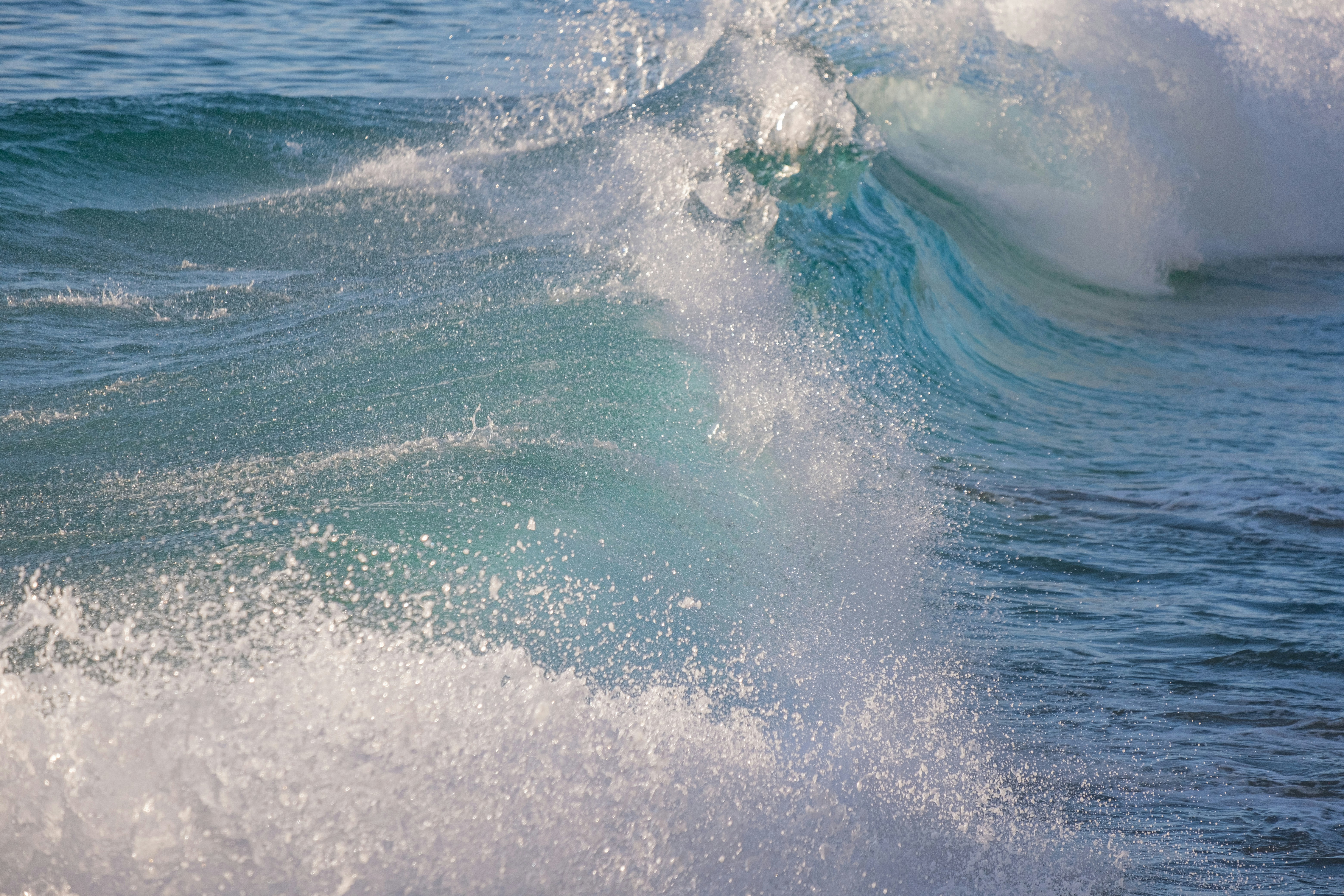 Photo by cestmoisheedy