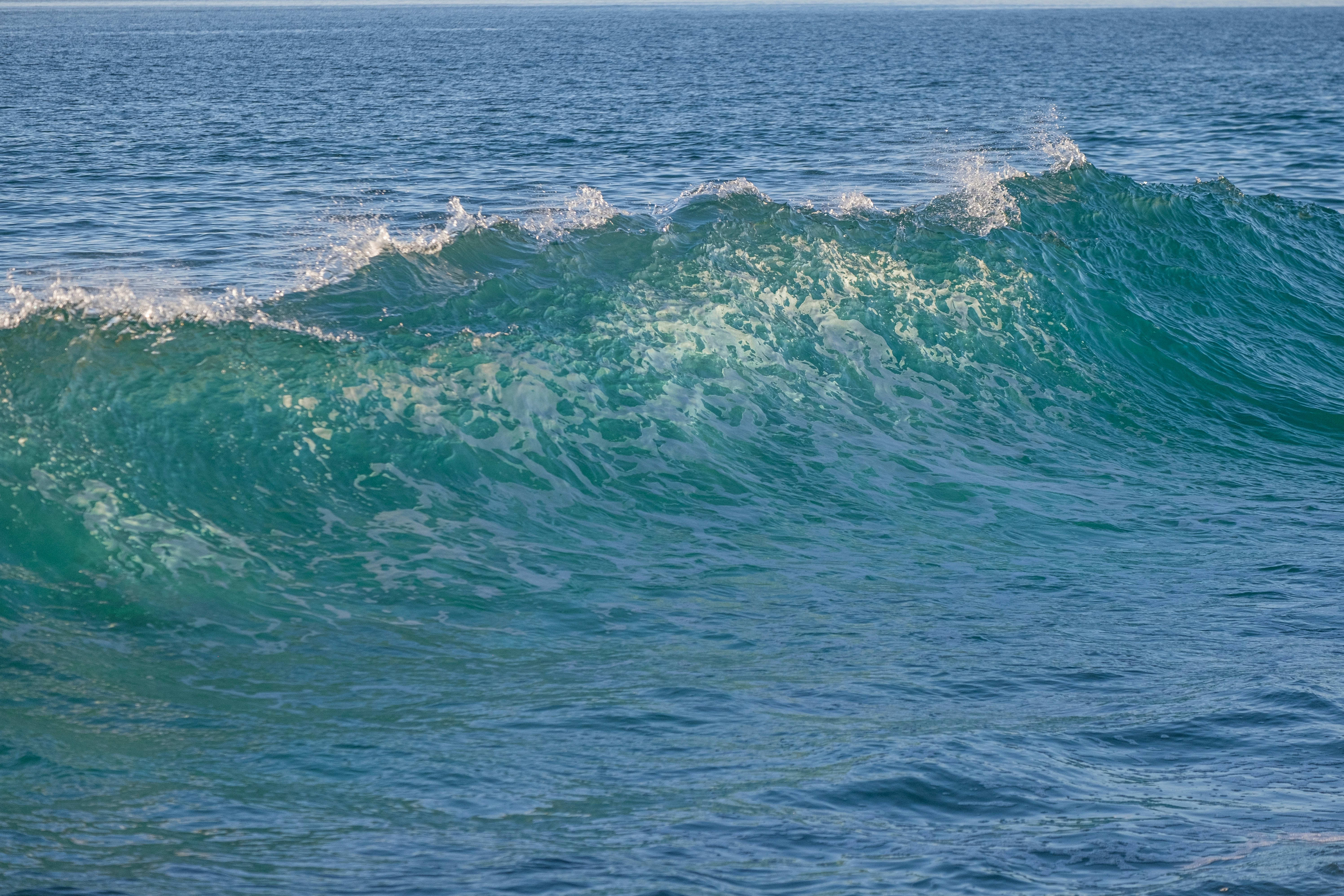 Photo by cestmoisheedy