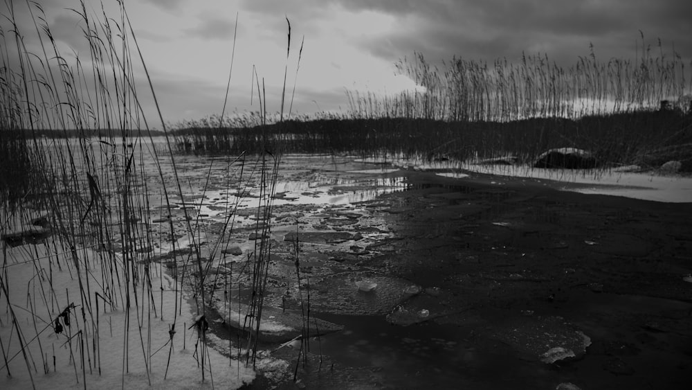 a black and white photo of a body of water