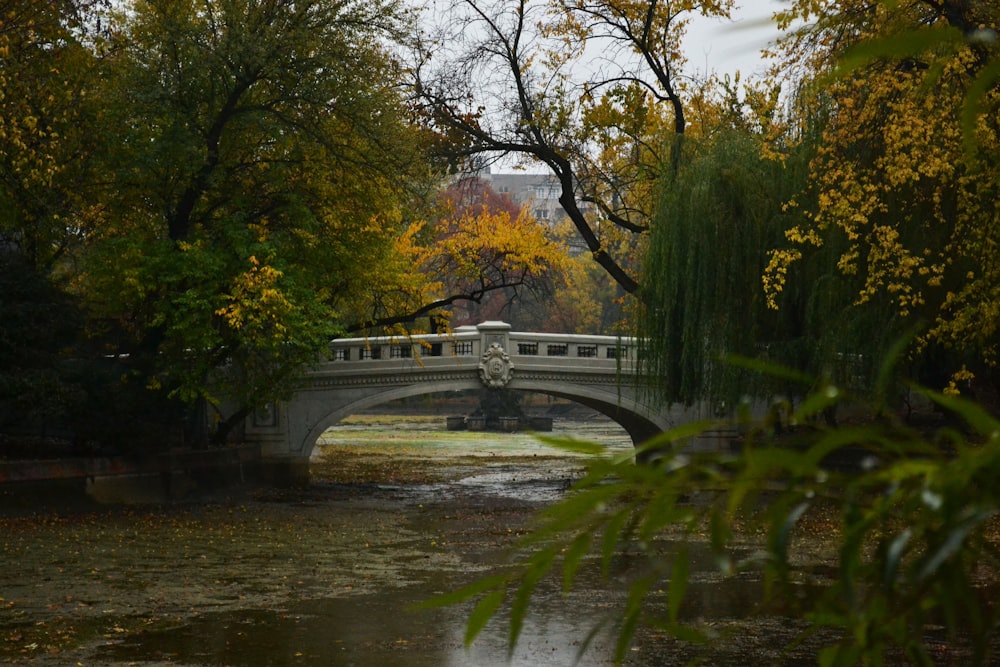 a bridge over a small river in a park