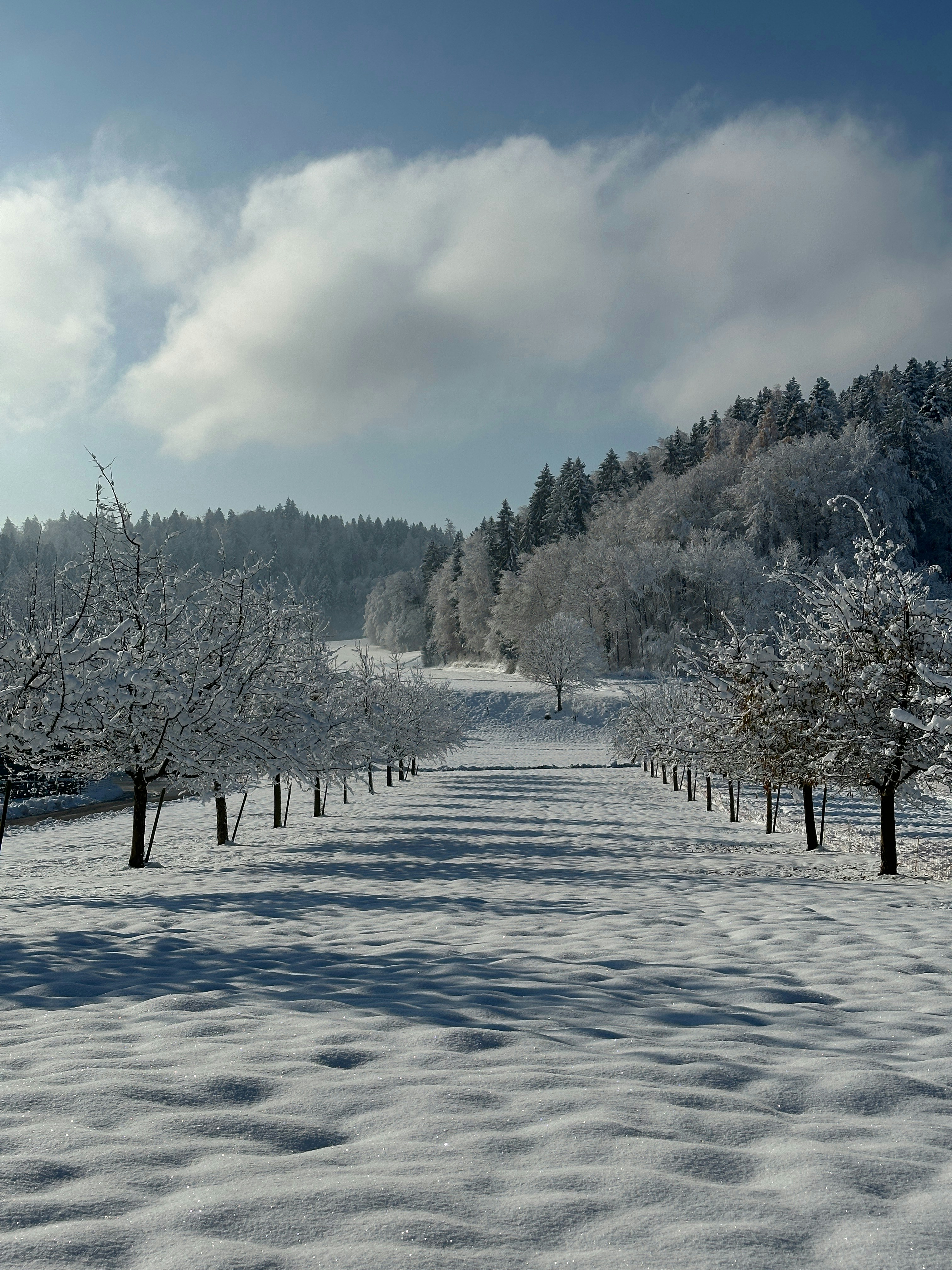 Walk & Talk Neujahrsspecial