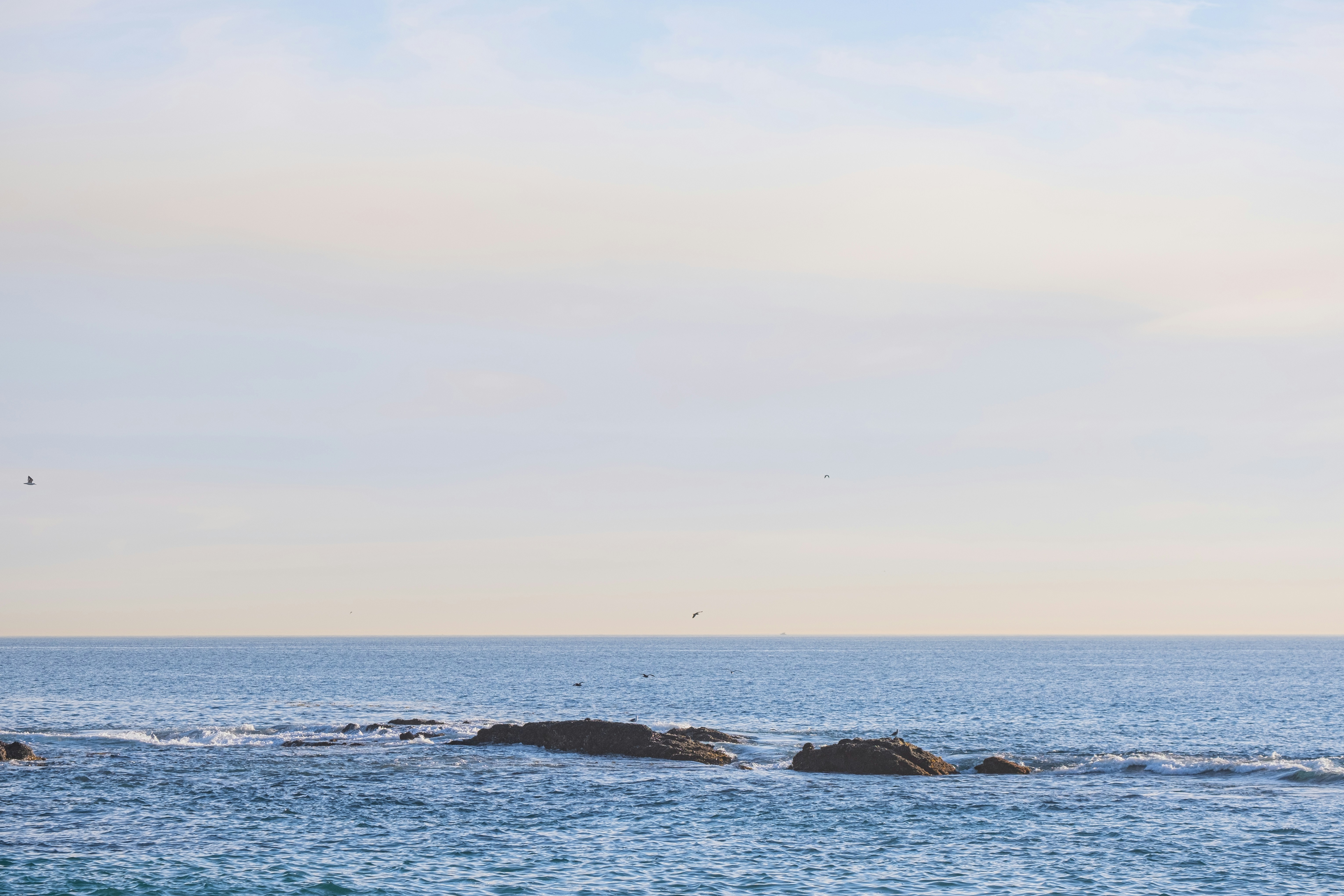 Photo by cestmoisheedy