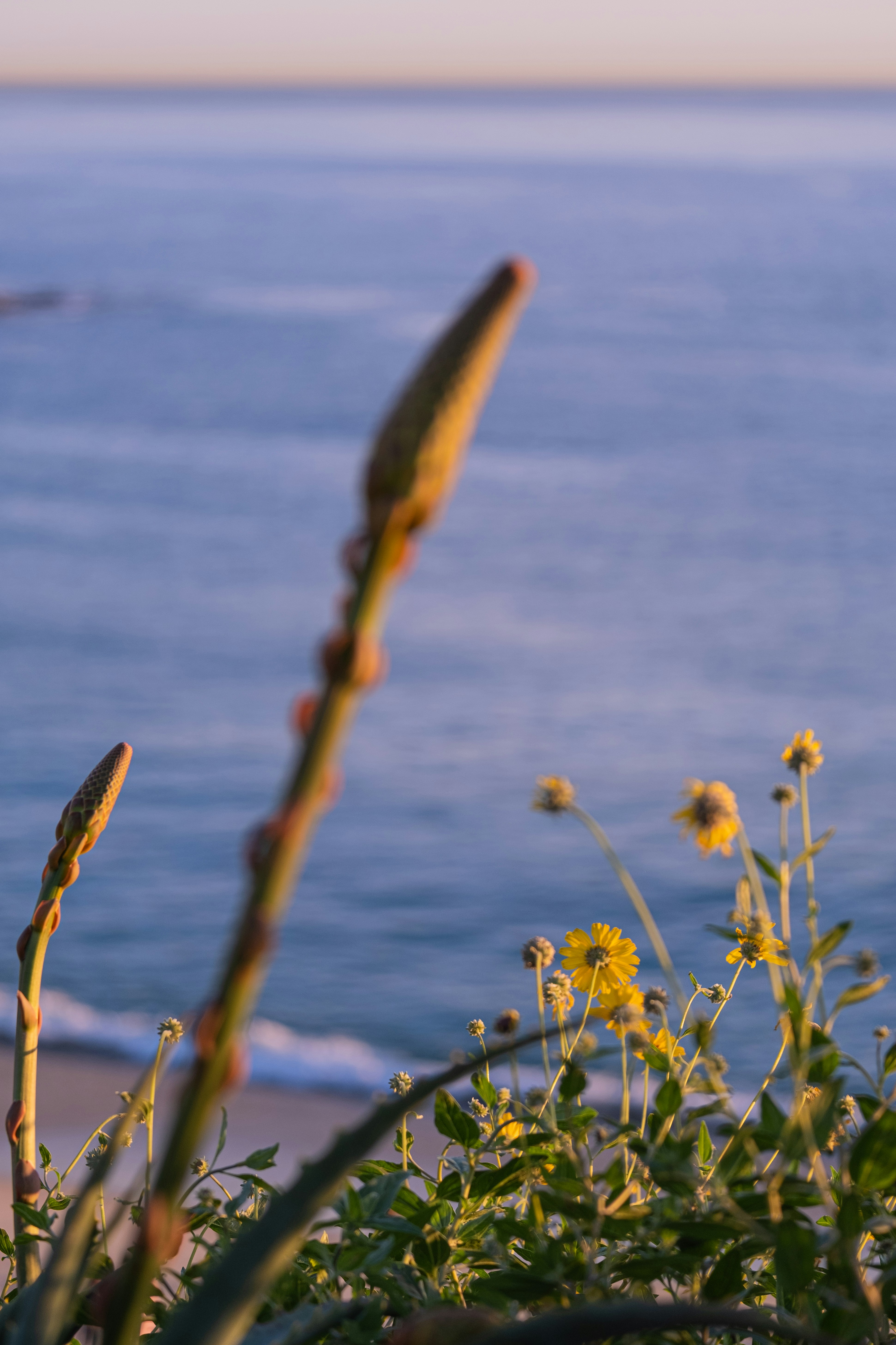 Photo by cestmoisheedy