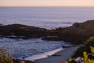 A serene shoreline at sunset with gentle waves lapping against smooth sand, framed by soft coastal vegetation.