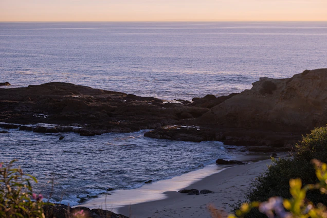 A serene shoreline at sunset with gentle waves lapping against smooth sand, framed by soft coastal vegetation.