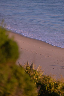Golden sunlight filtering through palm trees on a quiet beach near Da Nang.