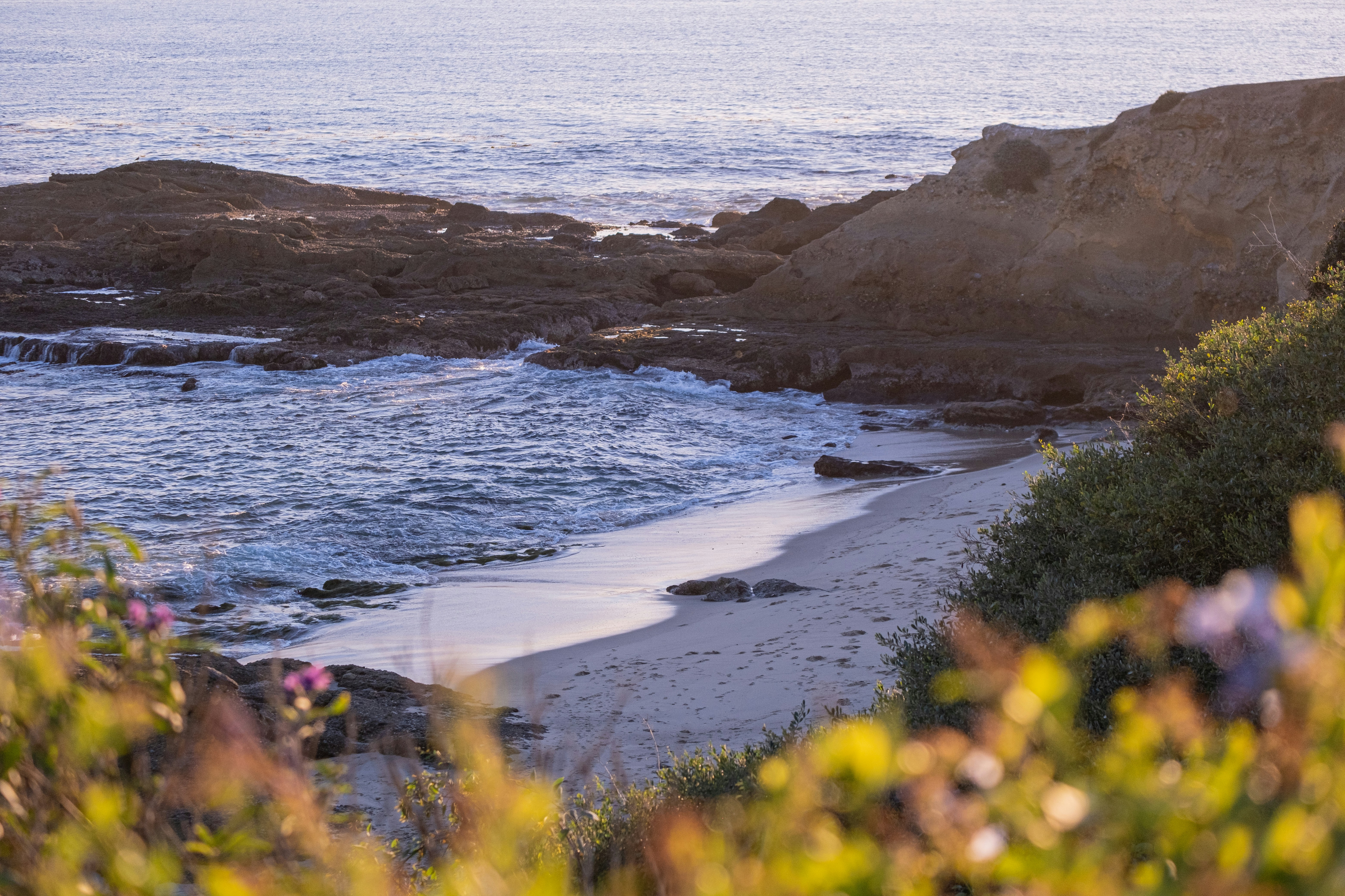 Photo by cestmoisheedy