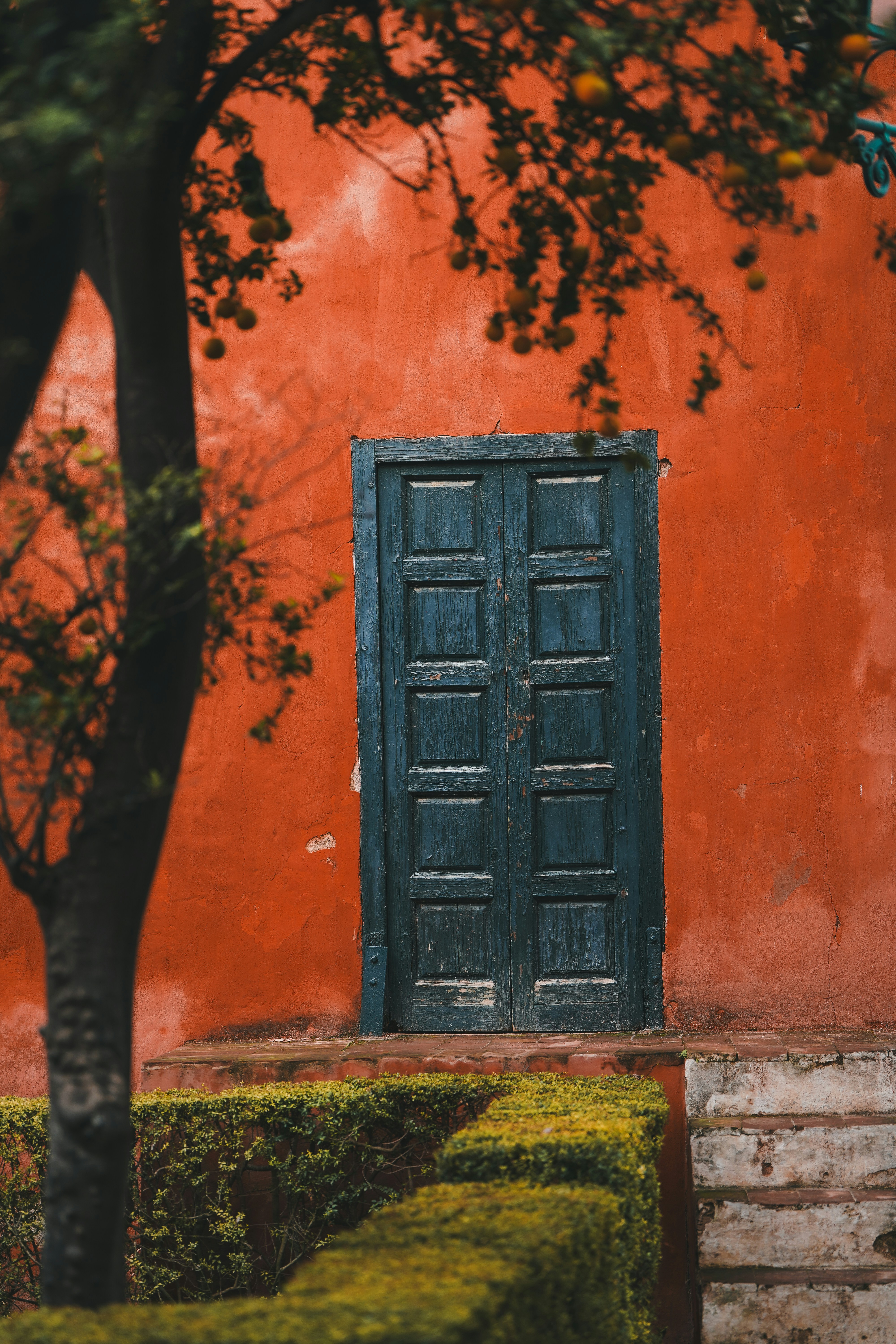 Photo by kevin_charit