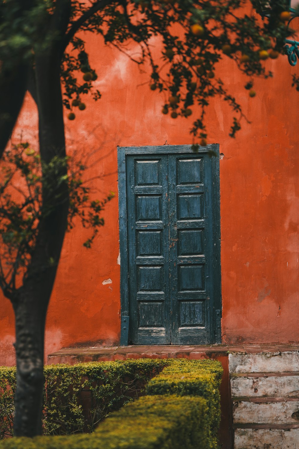 a tree and a door in front of a red wall