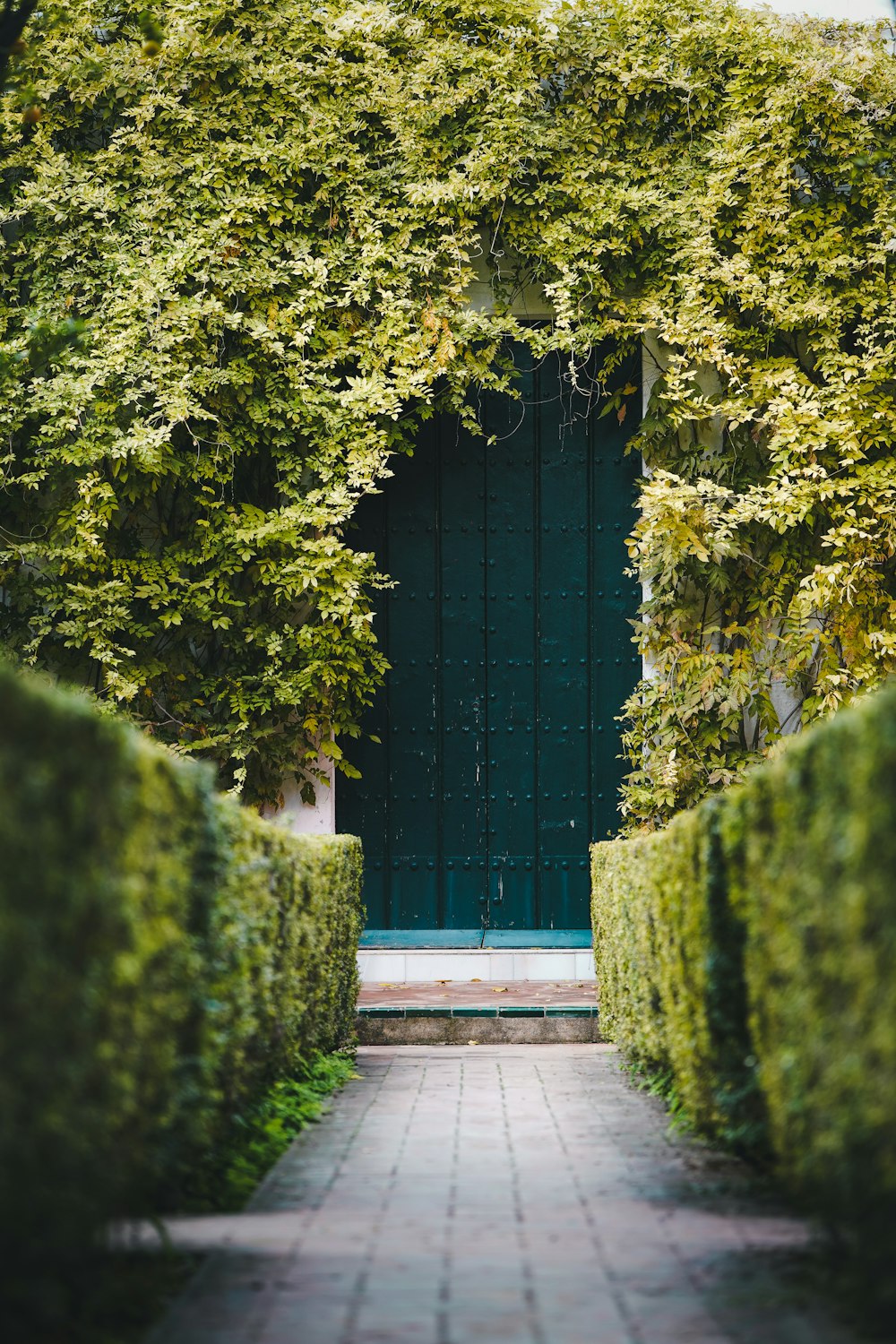 a green door surrounded by hedges and trees