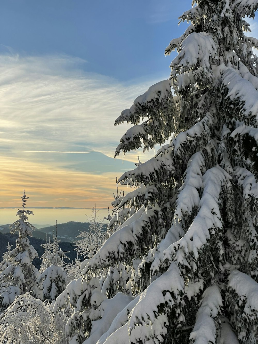 a person on skis standing on top of a snow covered mountain