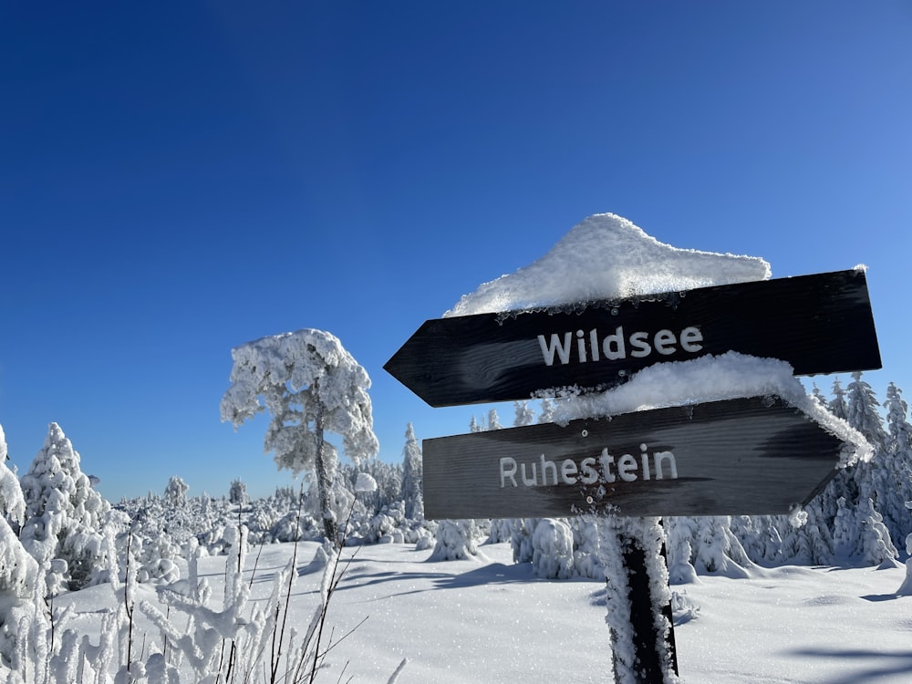 a wooden sign pointing in different directions in the snow