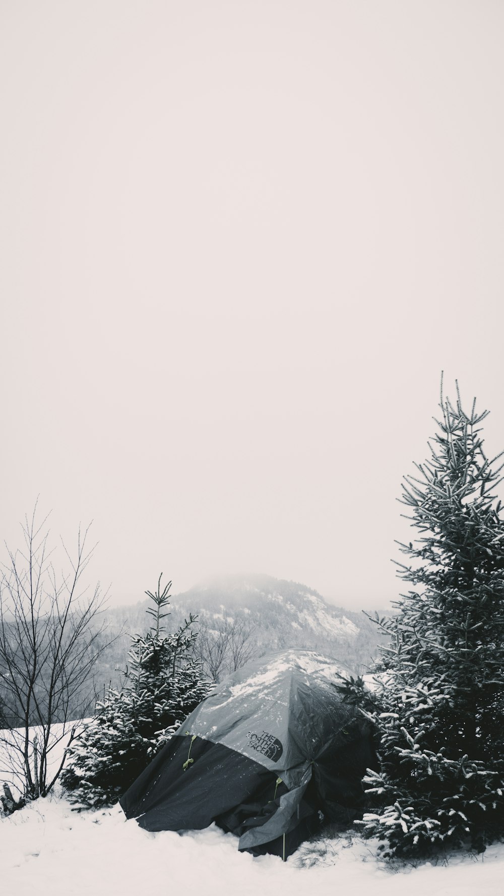 a tent in the snow with a mountain in the background