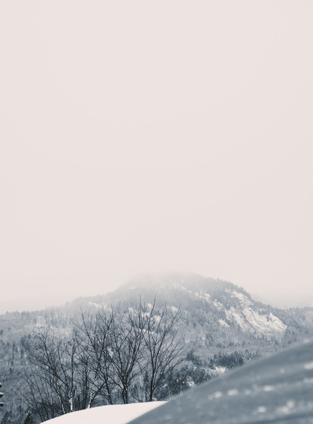 a snow covered mountain with trees in the foreground