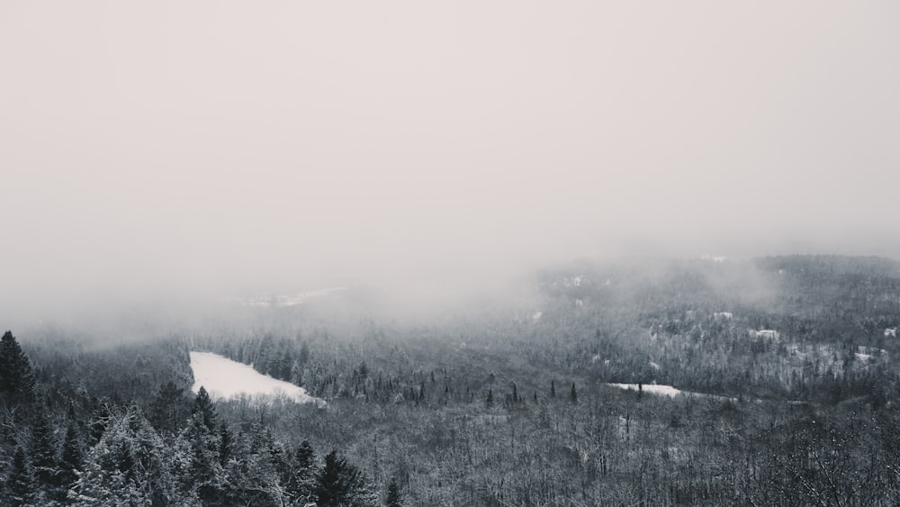 눈 덮인 산의 흑백 사진