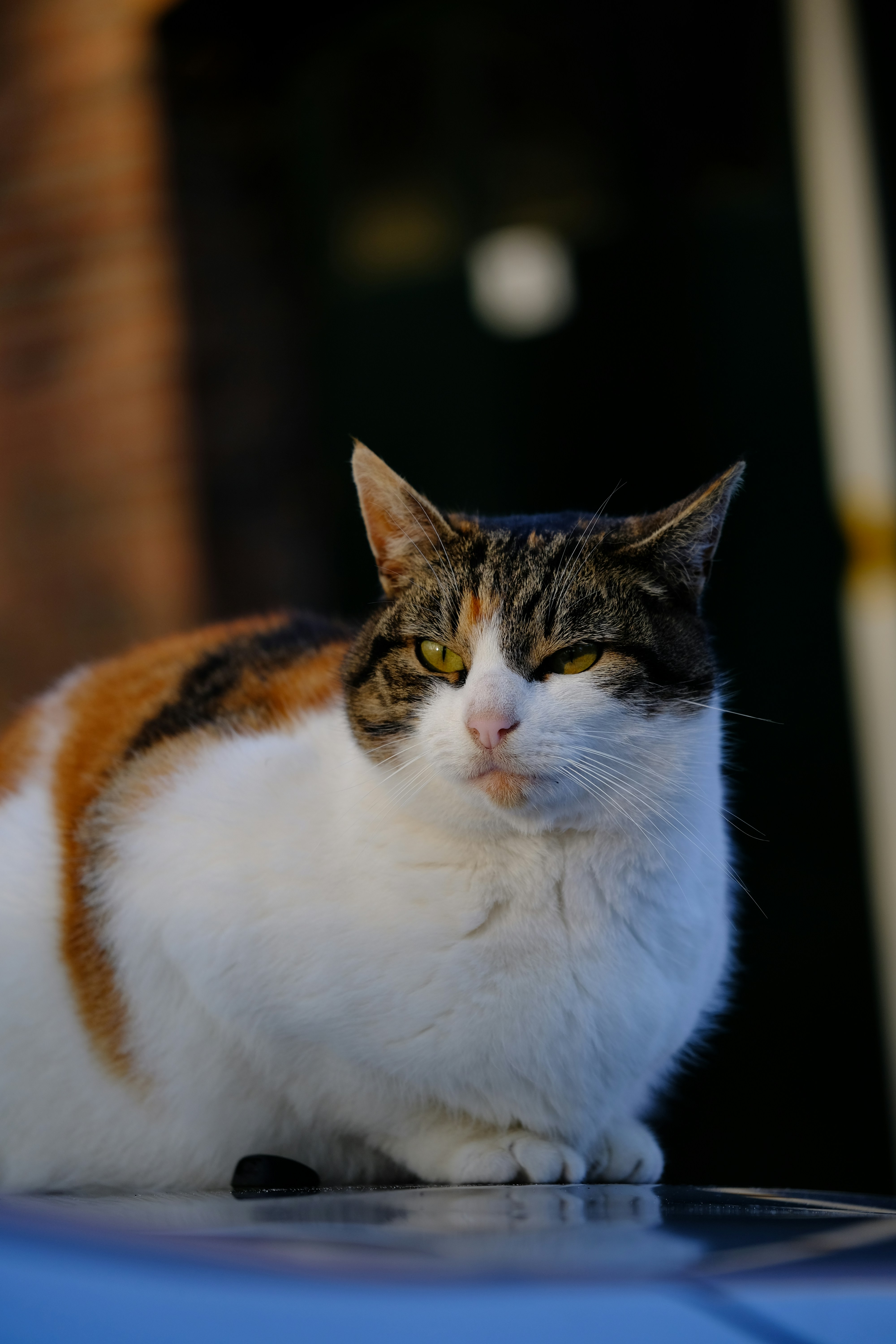 Photo by emmasnijdersx