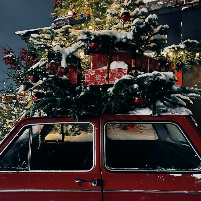 End of Year Breakdown - Which Models Spent the Longest on the Market