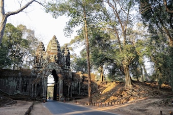An ancient stone gate surrounded by a dense forest with large trees and sprawling roots. The gate features intricate carvings, including faces embedded into the structure. A paved road leads through the gate, and sunlight filters through the foliage, creating a serene atmosphere.