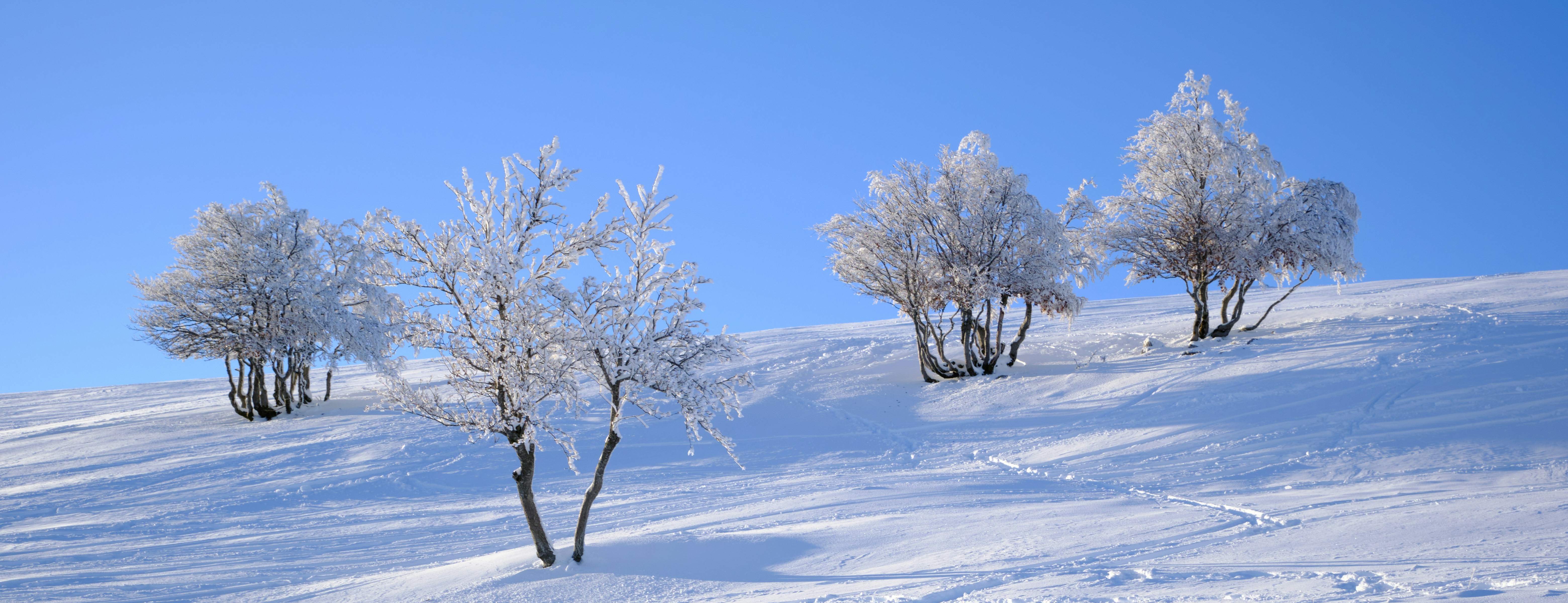 Photo by corentinschneiter