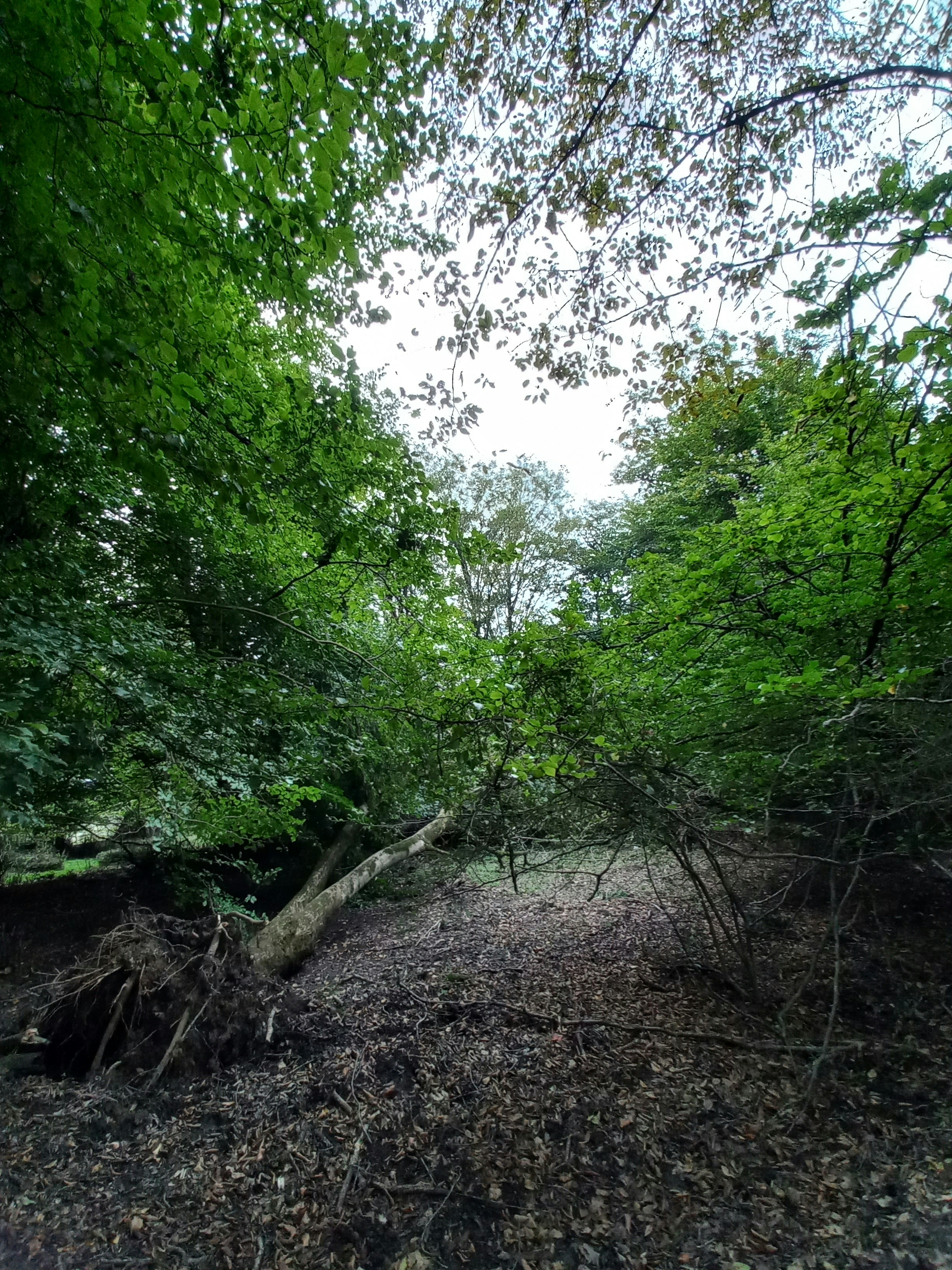 Photo by mobina_frame