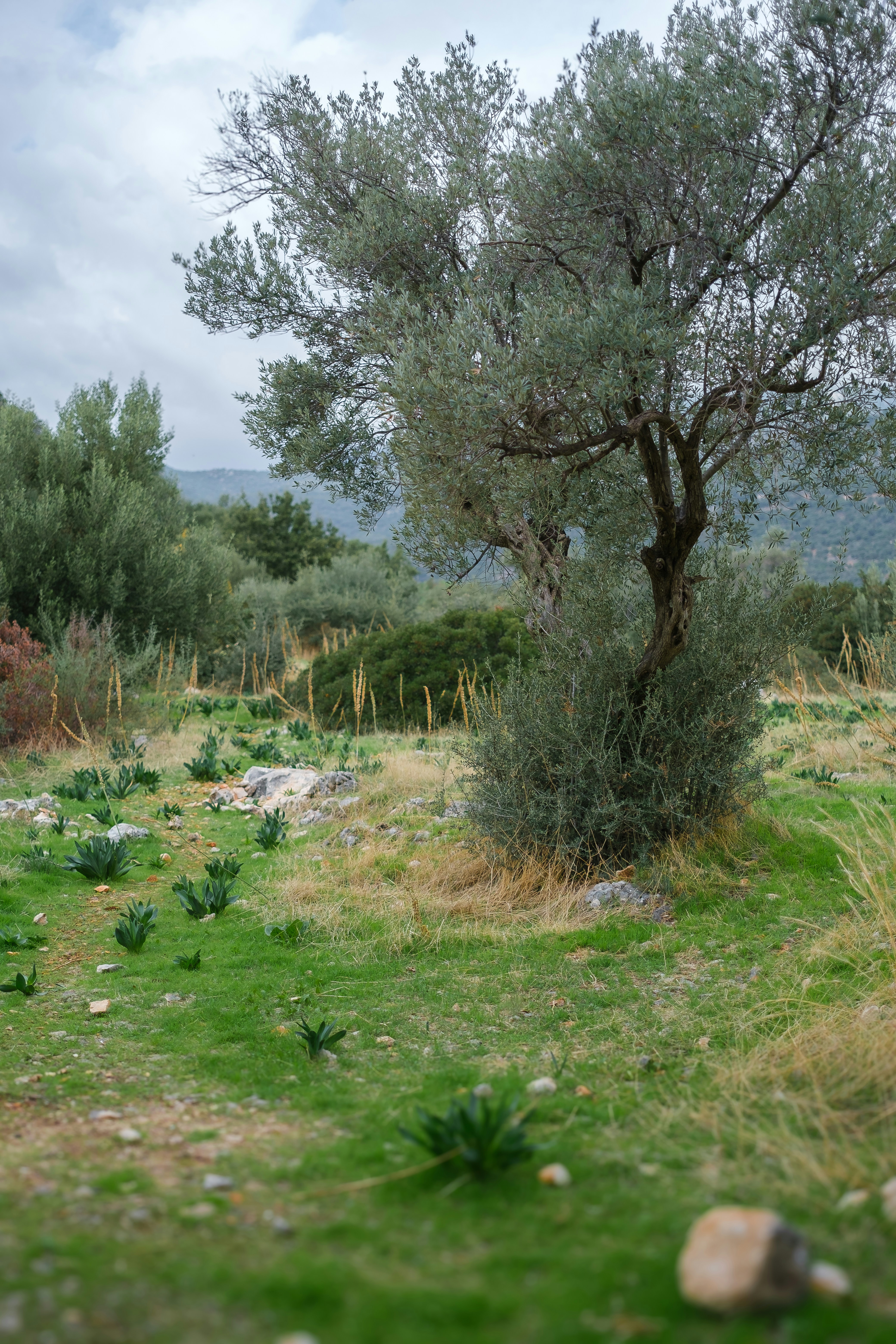 Photo by mrparalloid