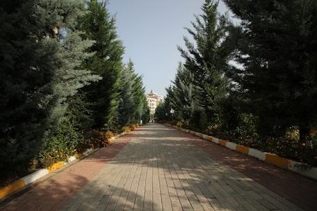 A pathway lined with tall evergreen trees on both sides leads towards a distant building. The path is paved with bricks, and there are small orange flowers growing along the edges. The sky is clear and blue, suggesting a sunny day.