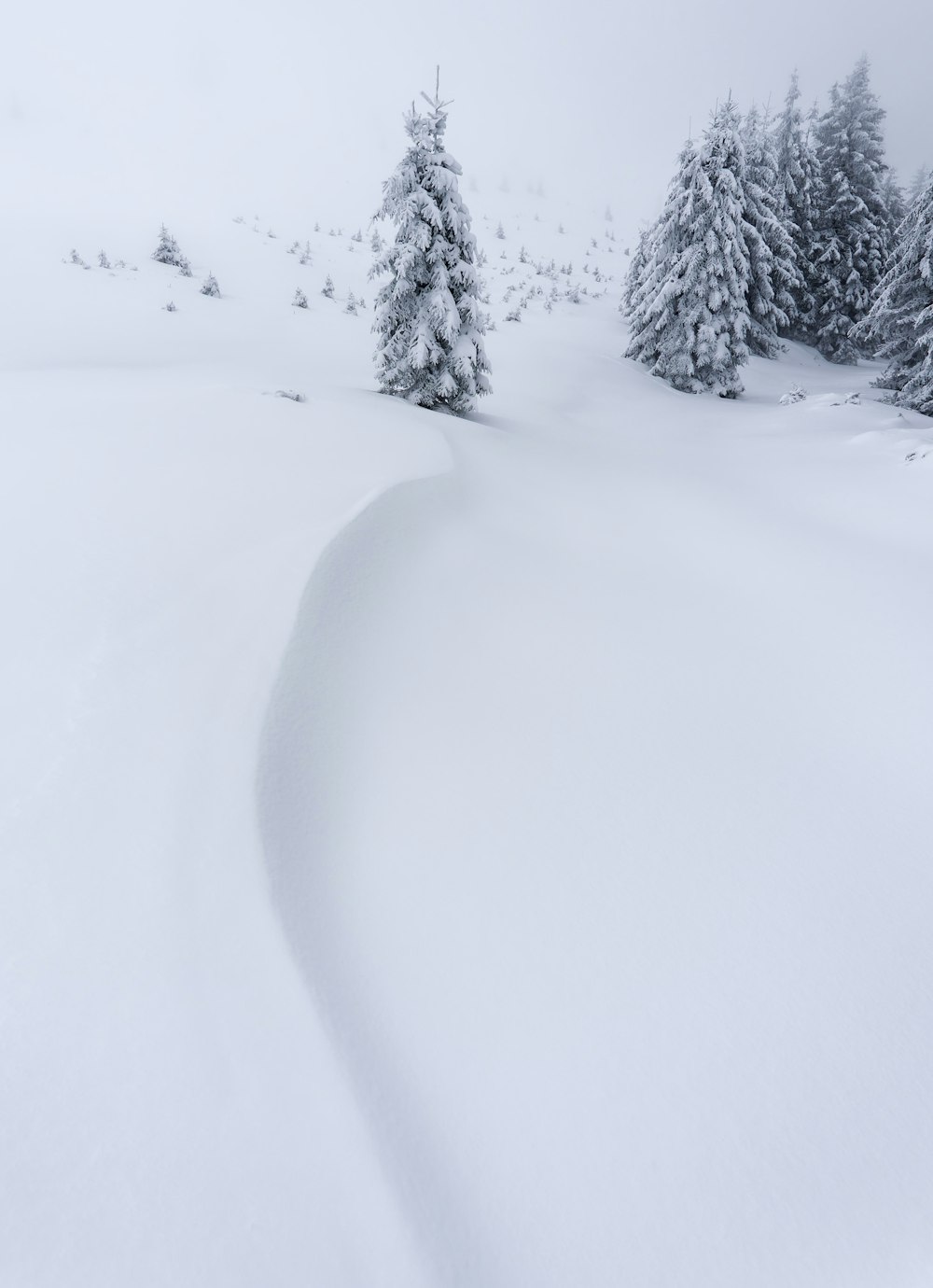 a person riding skis down a snow covered slope