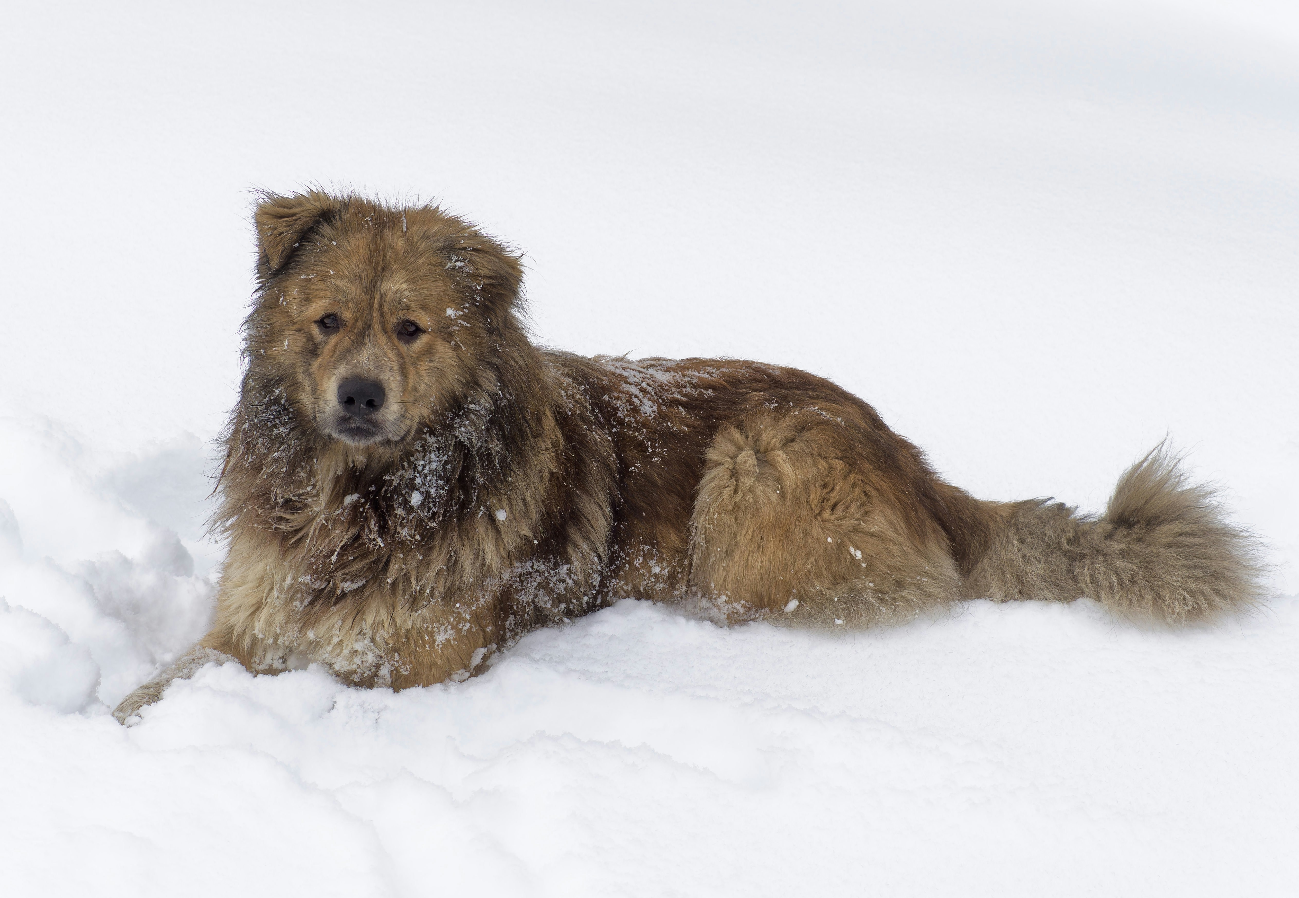 Photo by illes_cristi