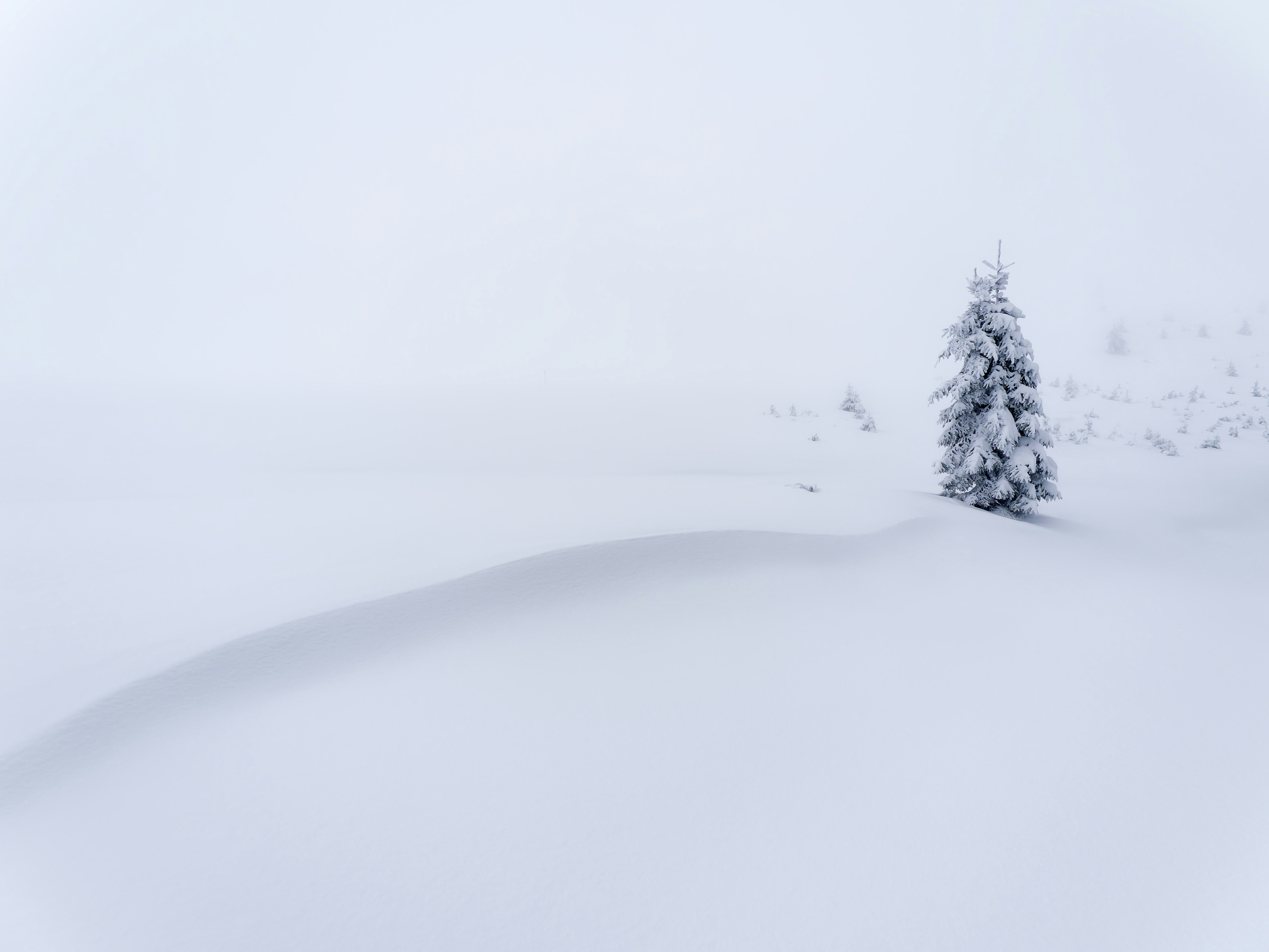 Photo by illes_cristi