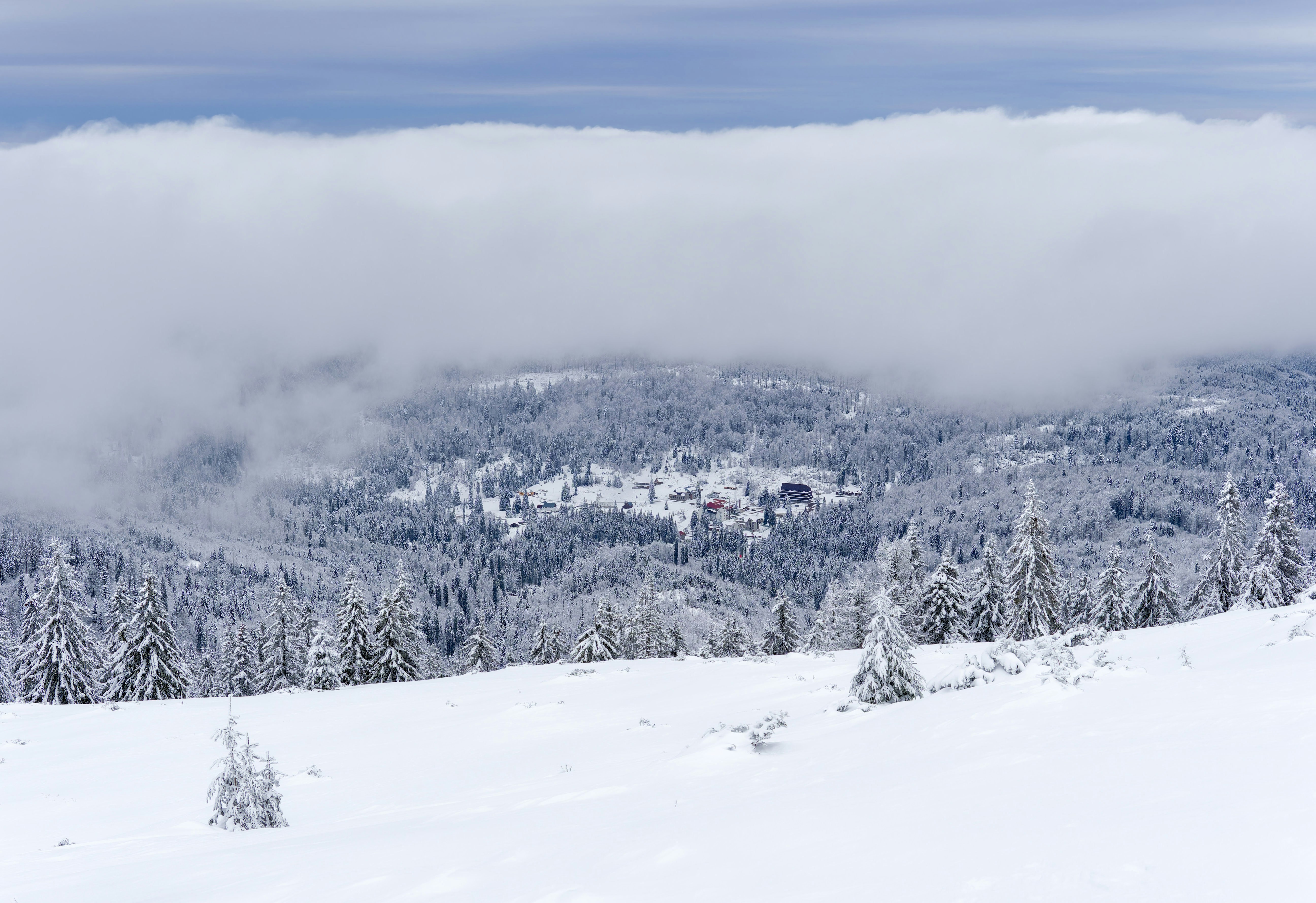 Photo by illes_cristi