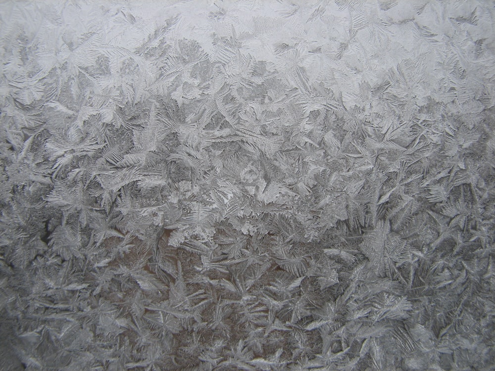 a frosty window with a bunch of leaves on it