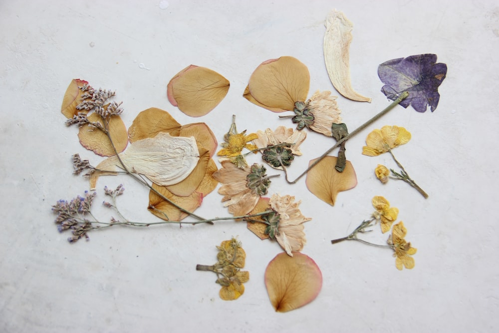 dried flowers and leaves on a white surface